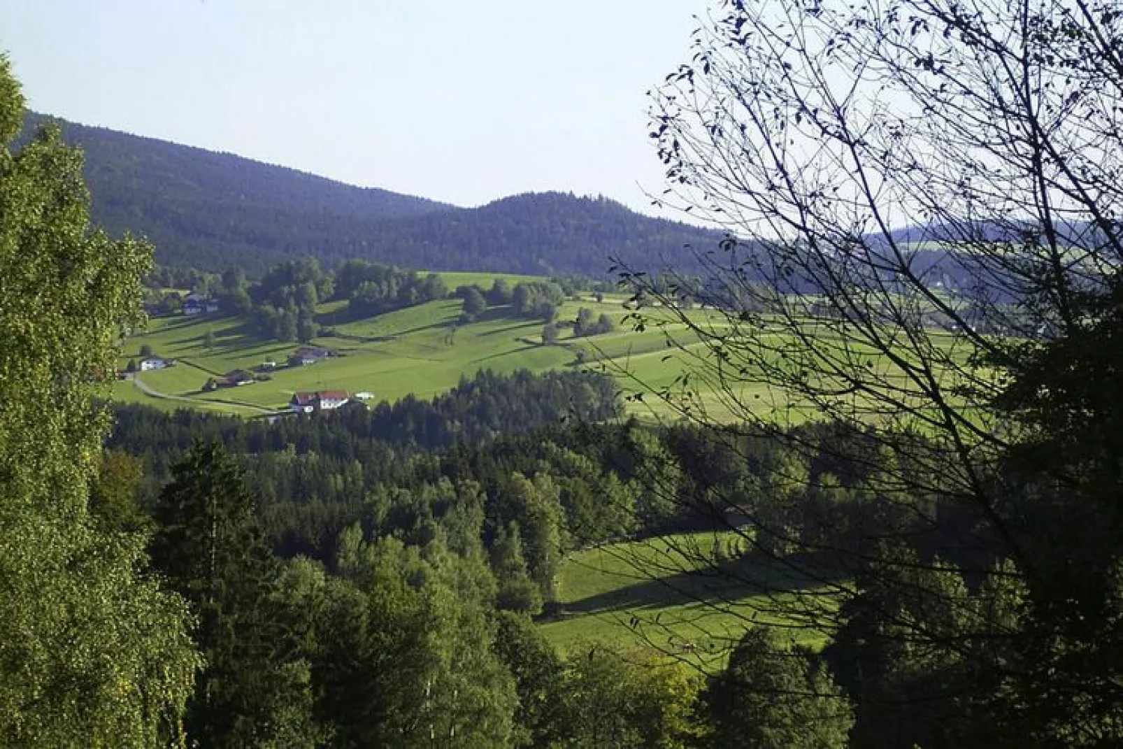 Ferienhaus Schneider Rinchnach 70 qm-Vue d'été
