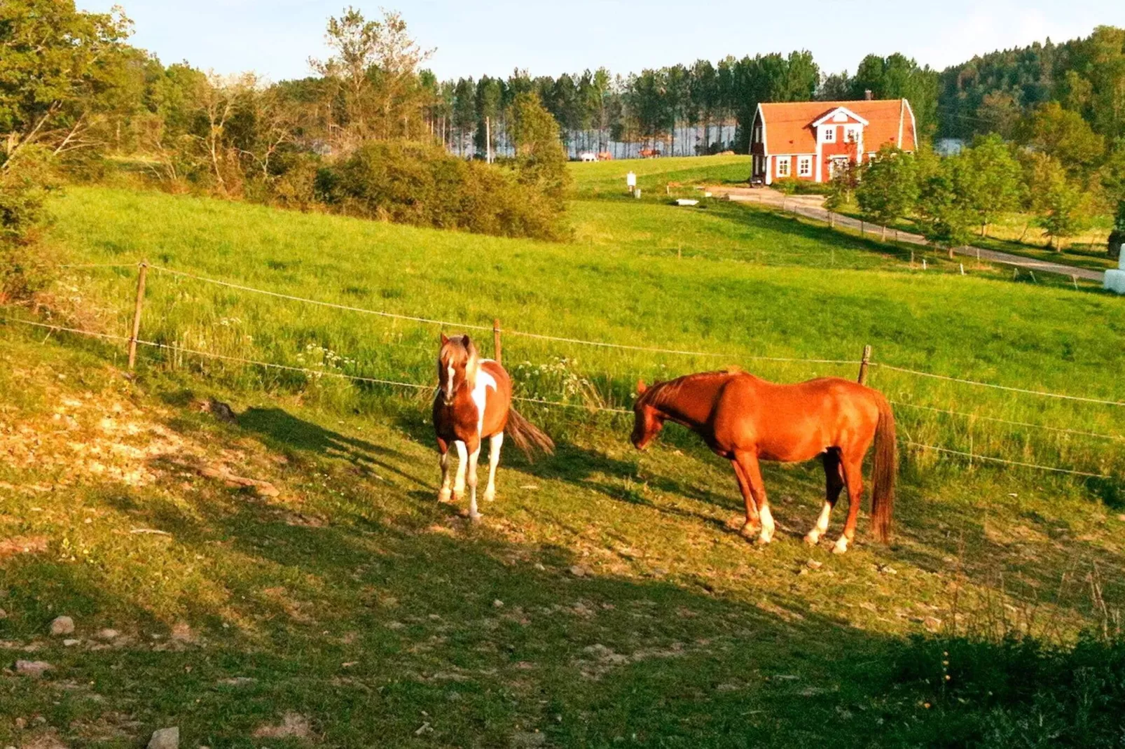 4 person holiday home in STJÄRNHOV-Not tagged