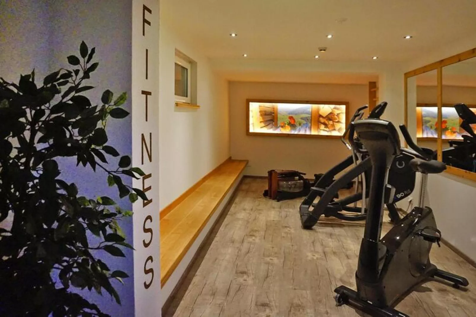 Apartments Schatzberg-Haus, Wildschönau-Auffach-Typ C-Gym