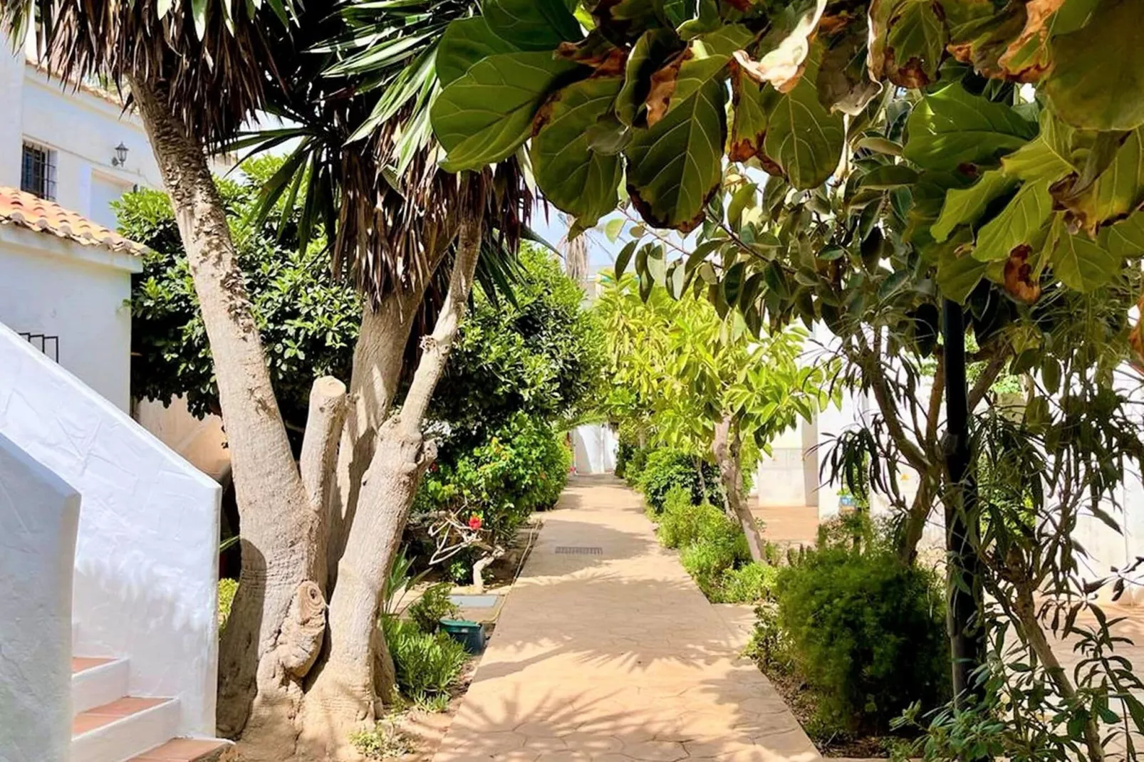 Los Kiwis 1ª línea de playa-Gardens summer