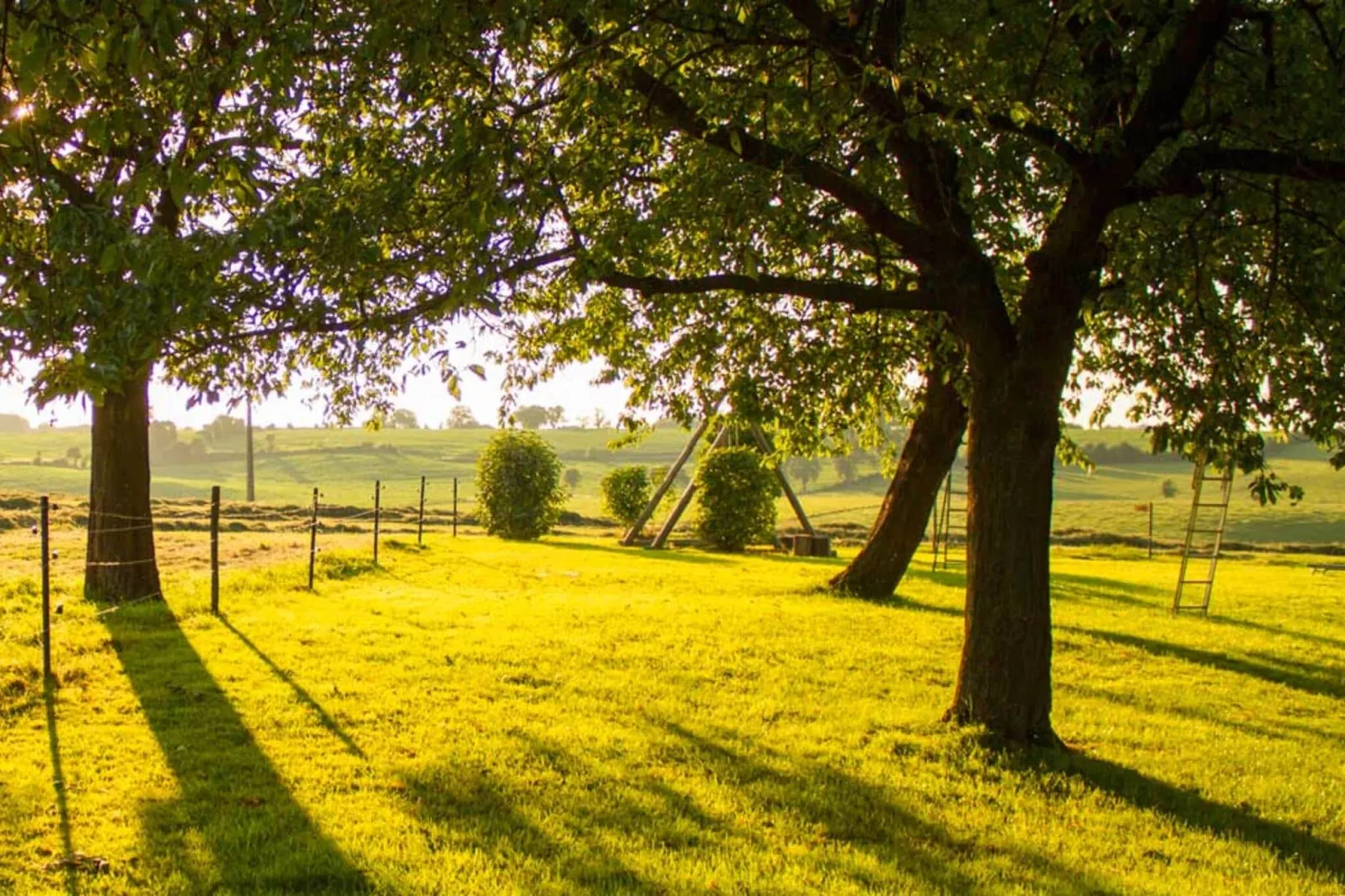Buitenhuis De Graef-Aussicht Sommer