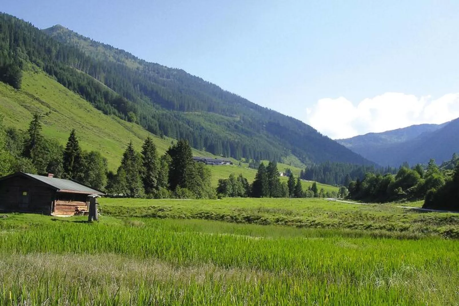 Apartments Schatzberg-Haus, Wildschönau-Auffach-Typ C-View summer