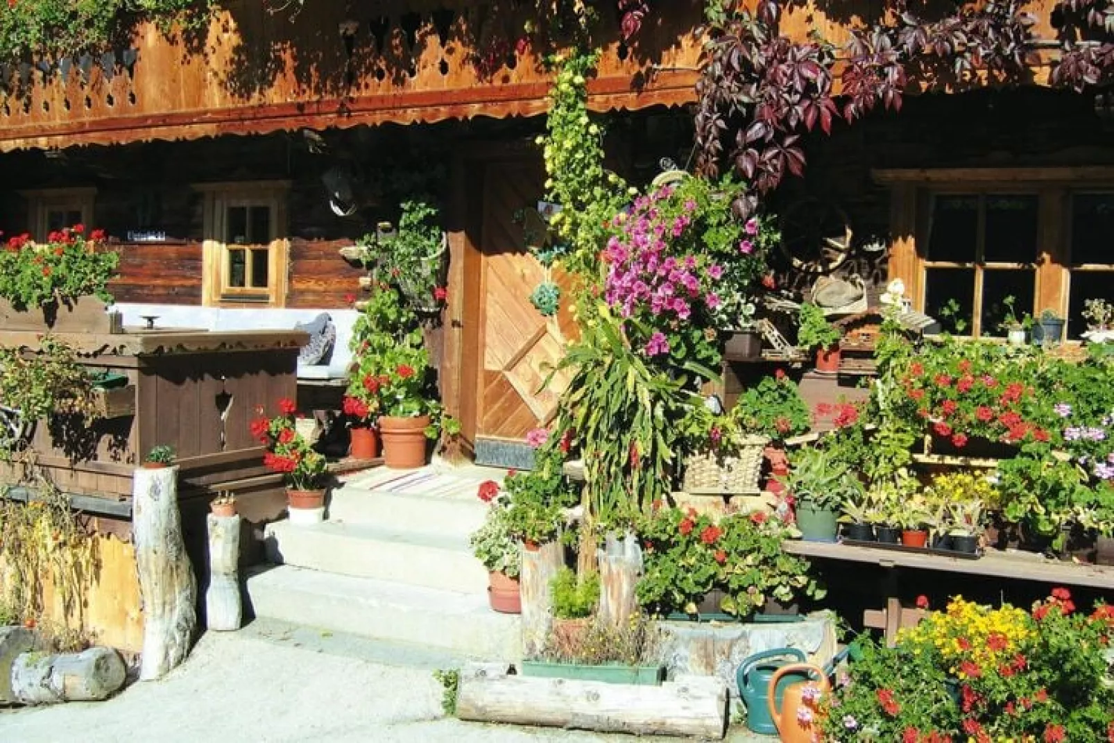 Apartments Schatzberg-Haus, Wildschönau-Auffach-Typ C-Gardens summer