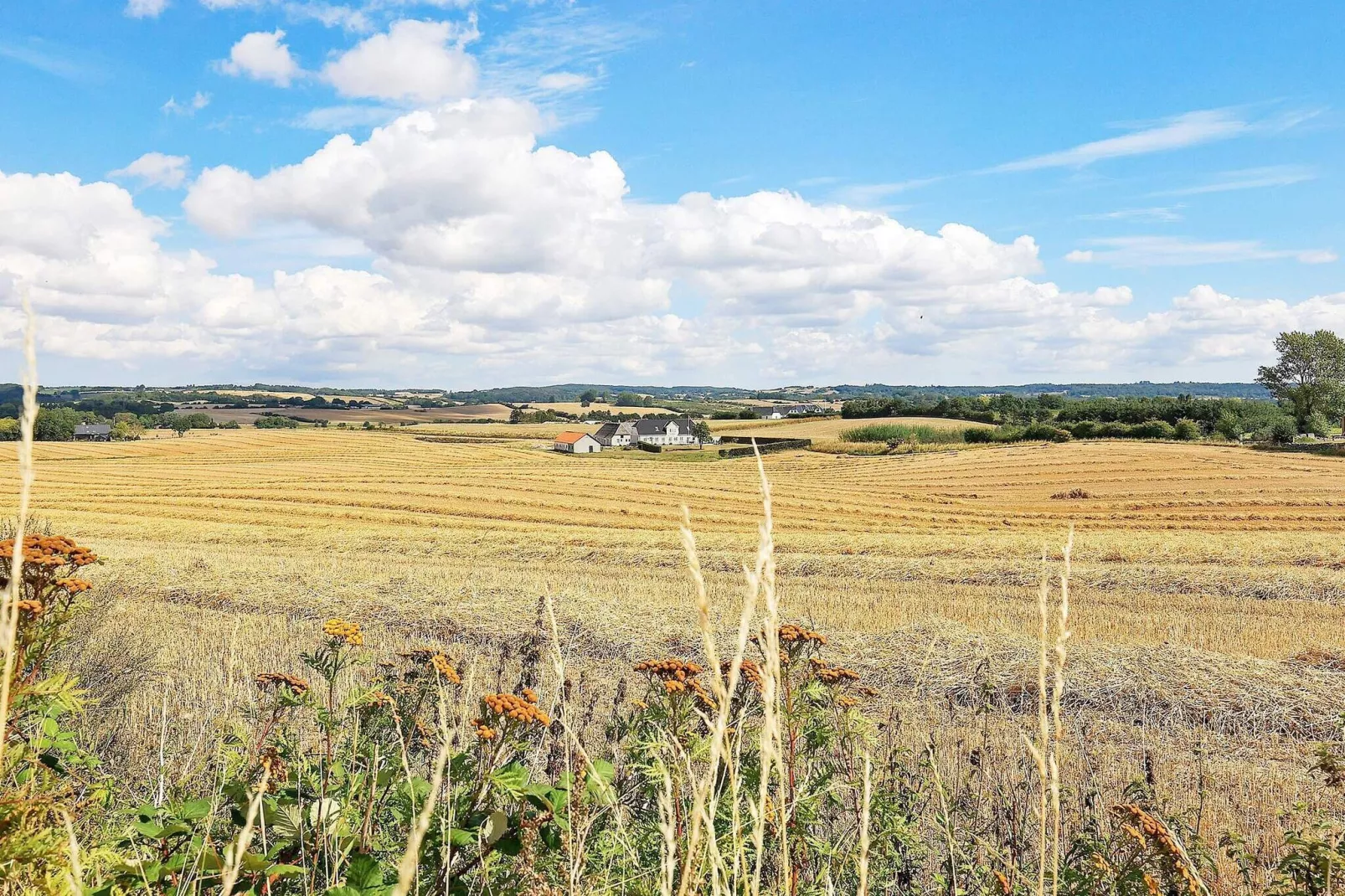 Maison de vacances pour 7 a Faaborg-By Traum-Non étiqueté