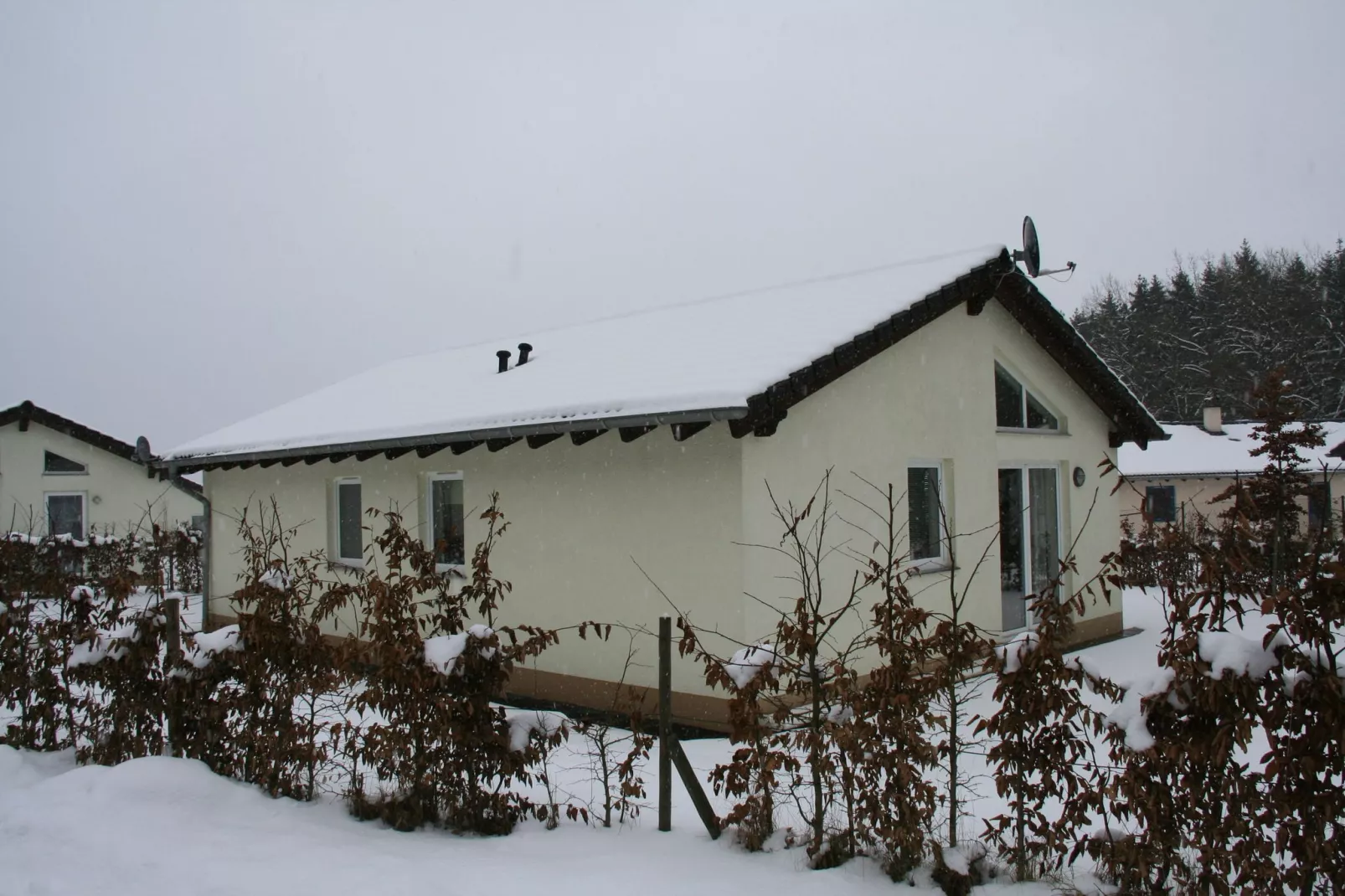 Eifelpark 10-Exterior winter