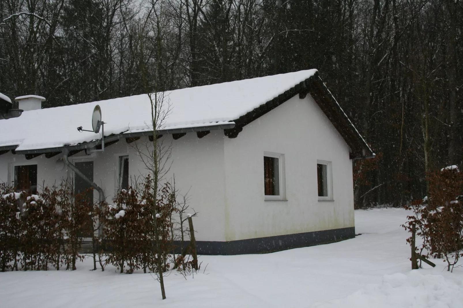 Eifelpark 10-Exterior winter