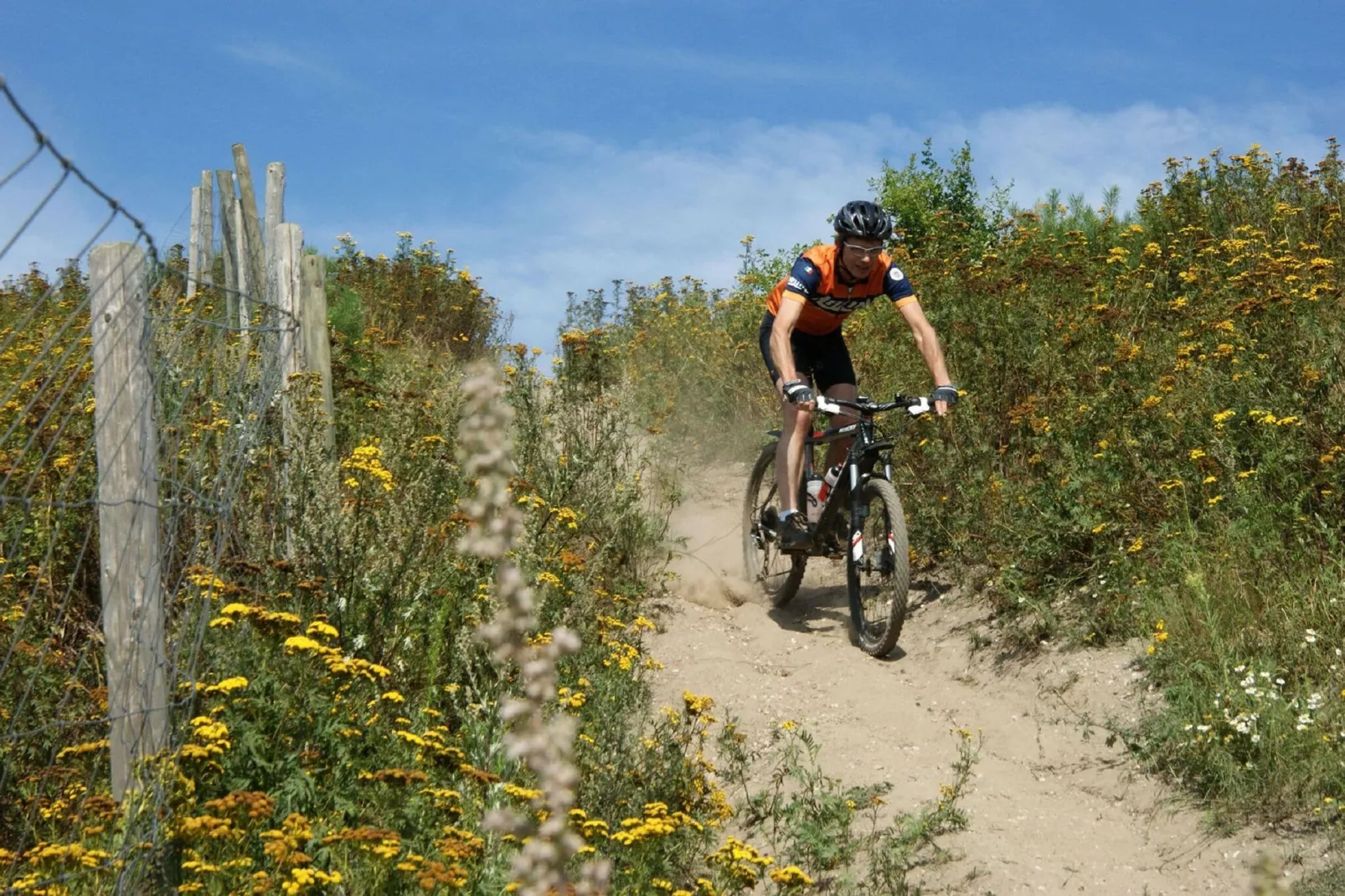 Resort Maasduinen 10-Areas summer 5km