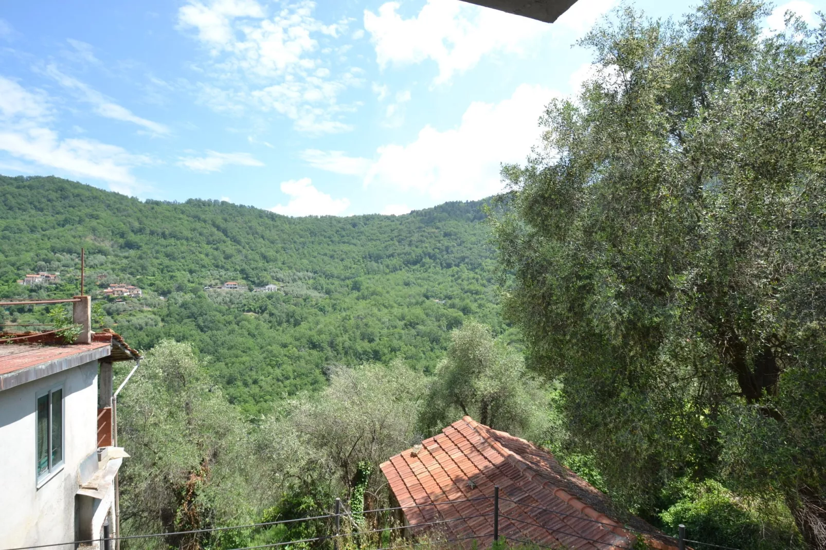 Fiore in testa-View summer