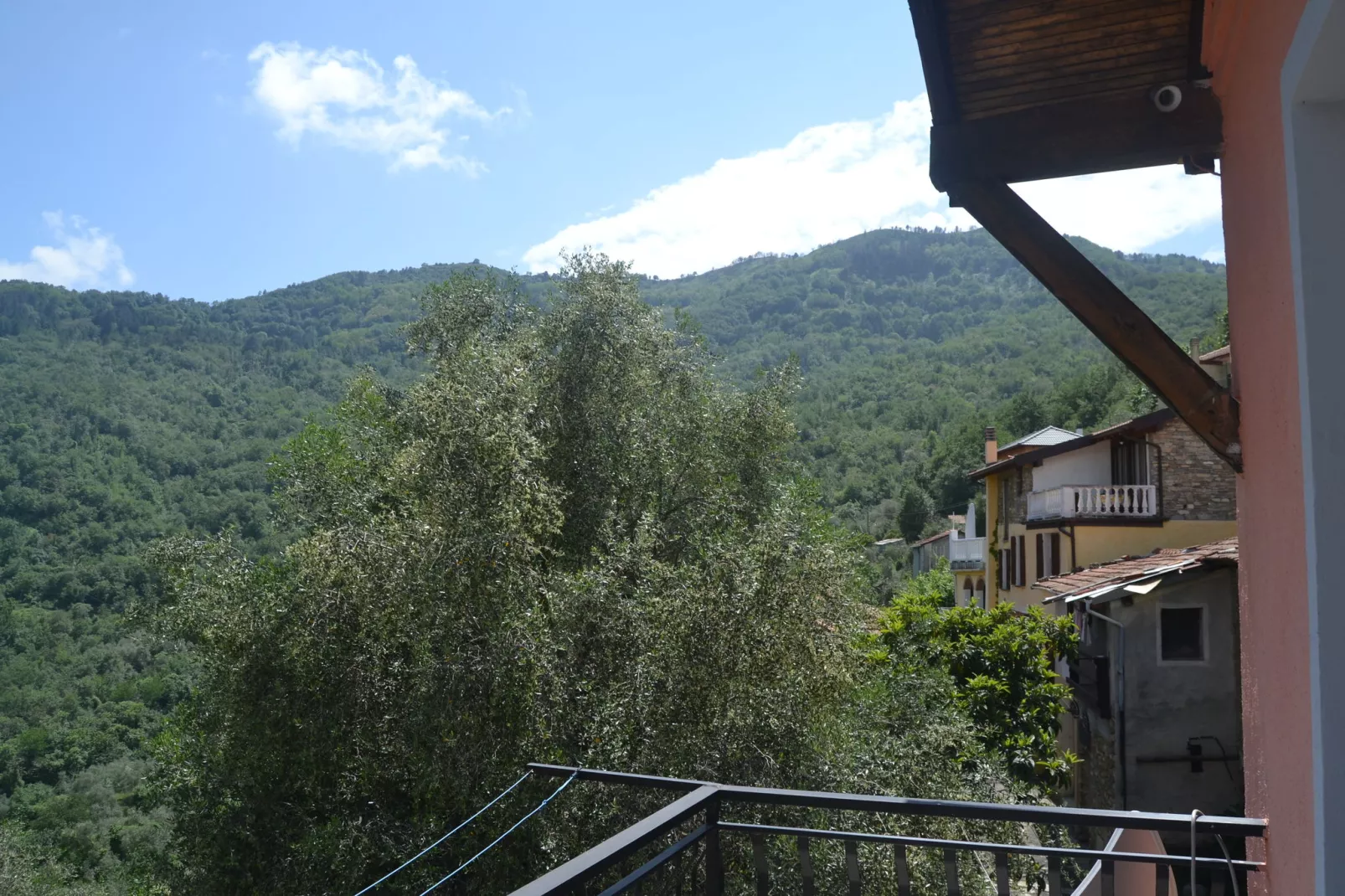 Fiore in testa-View summer