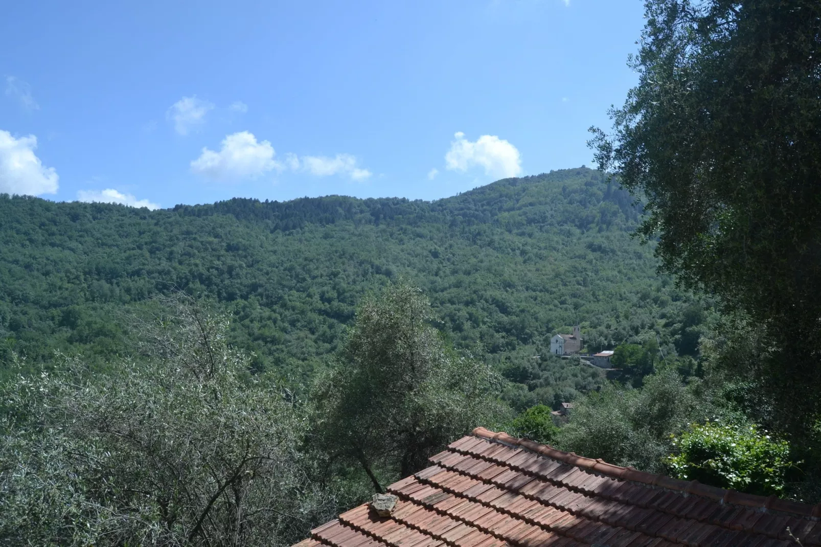 Fiore in testa-View summer