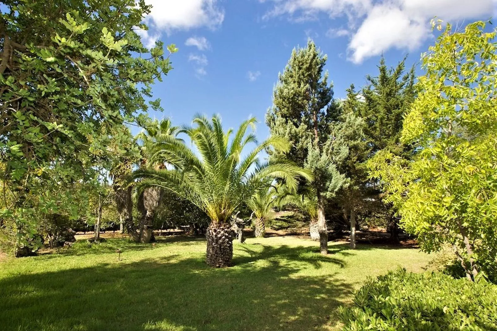 Son Comte IV Apartamento Partición - Jardins en été