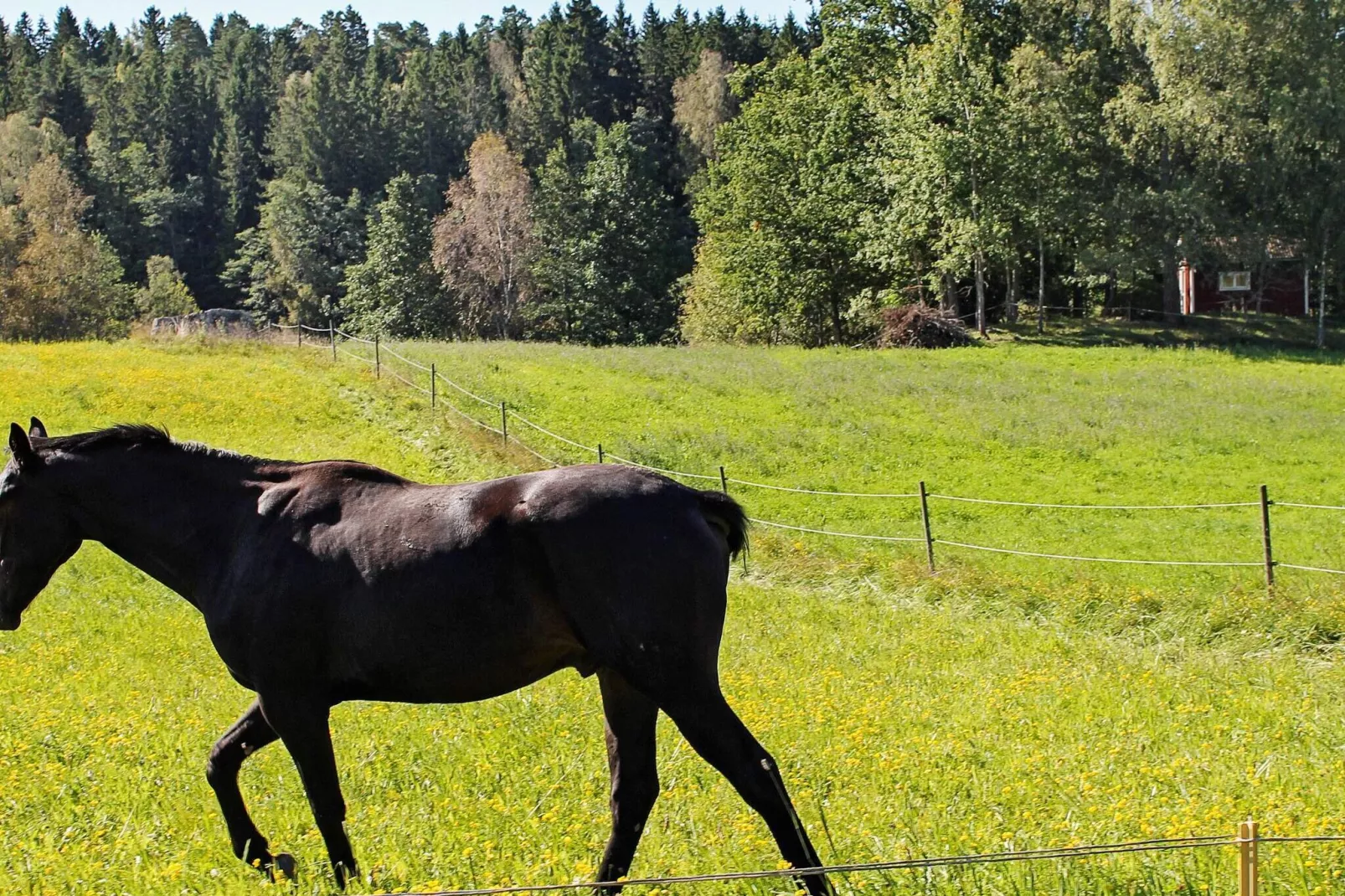 6 Personen Ferienhaus in STJÄRNHOV-By Traum