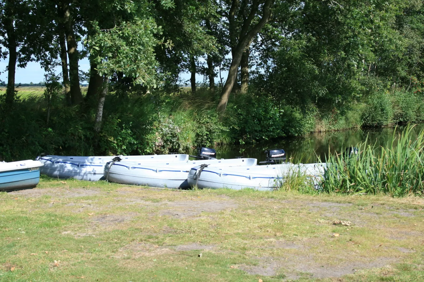 Landgoed Eysinga State 4-Areas summer 1km