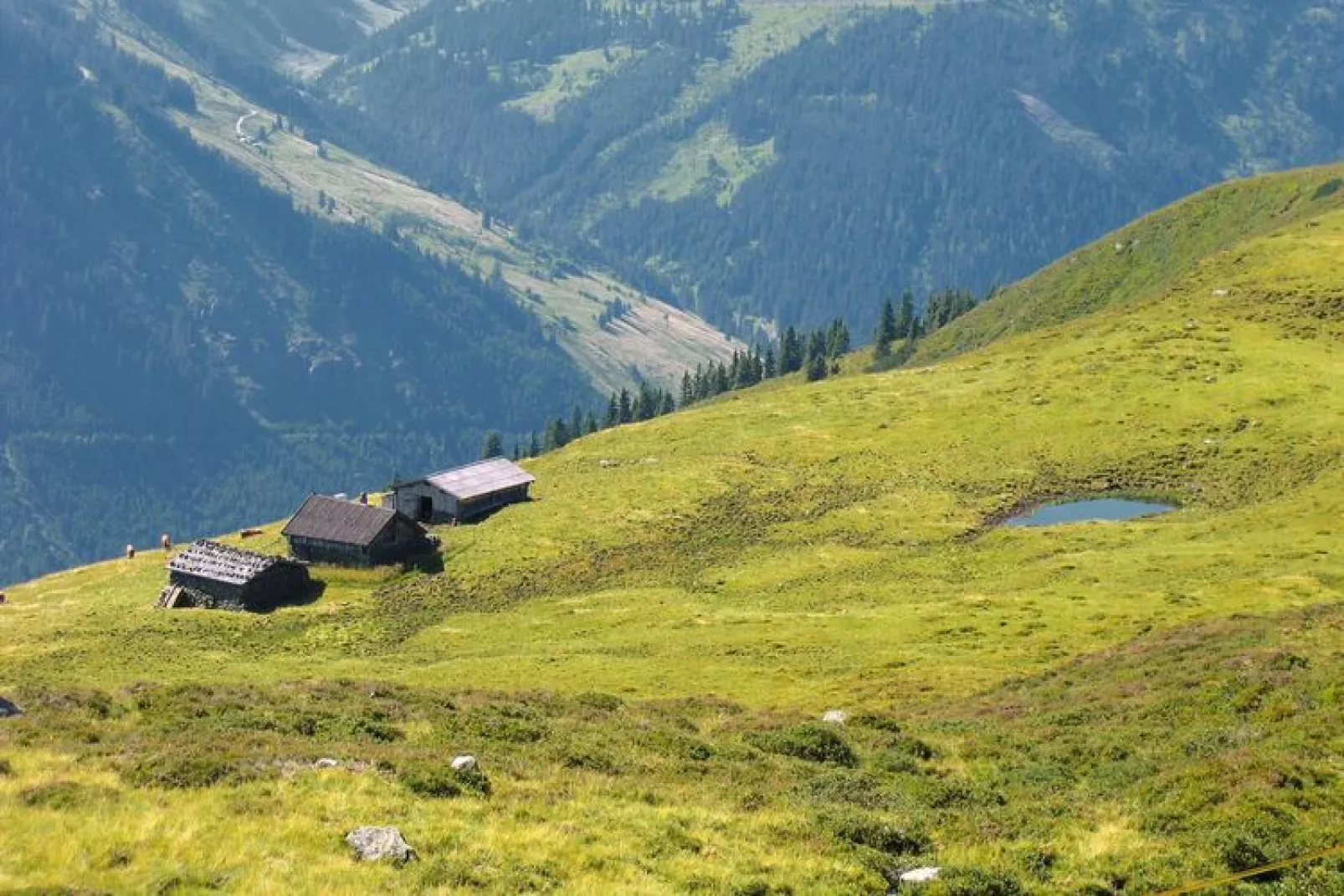 Apartments Schatzberg-Haus, Wildschönau-Auffach-Typ A-Aussicht Sommer