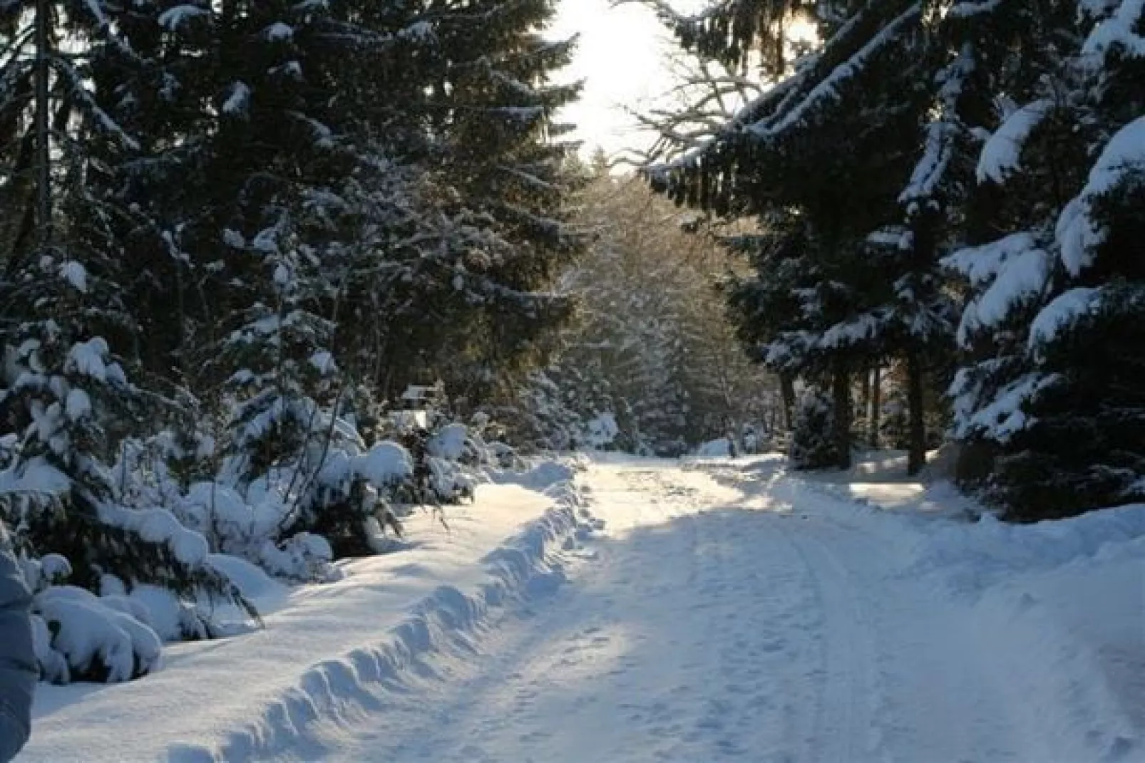 Eifelpark 10-Area winter 1km