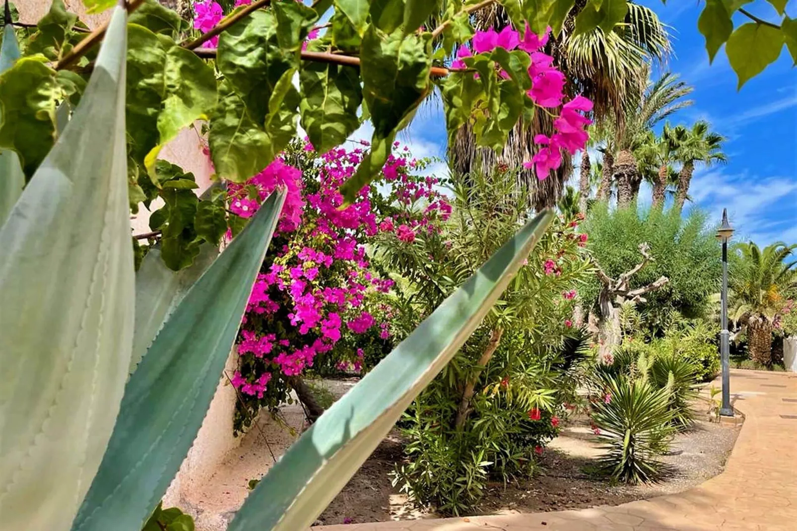 Residencial Hibiscus 405-Gardens summer