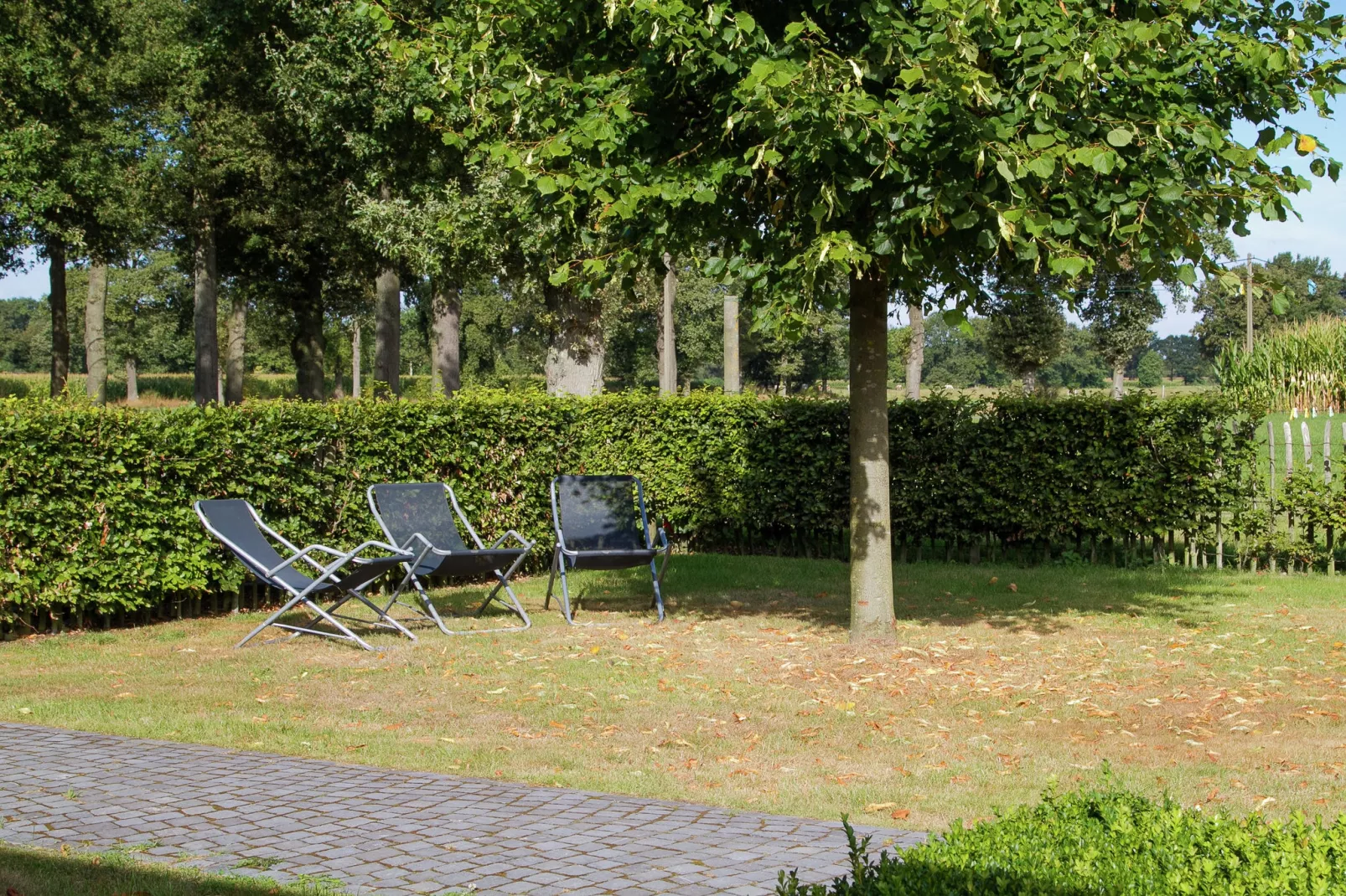 Bovelinde-Gardens summer