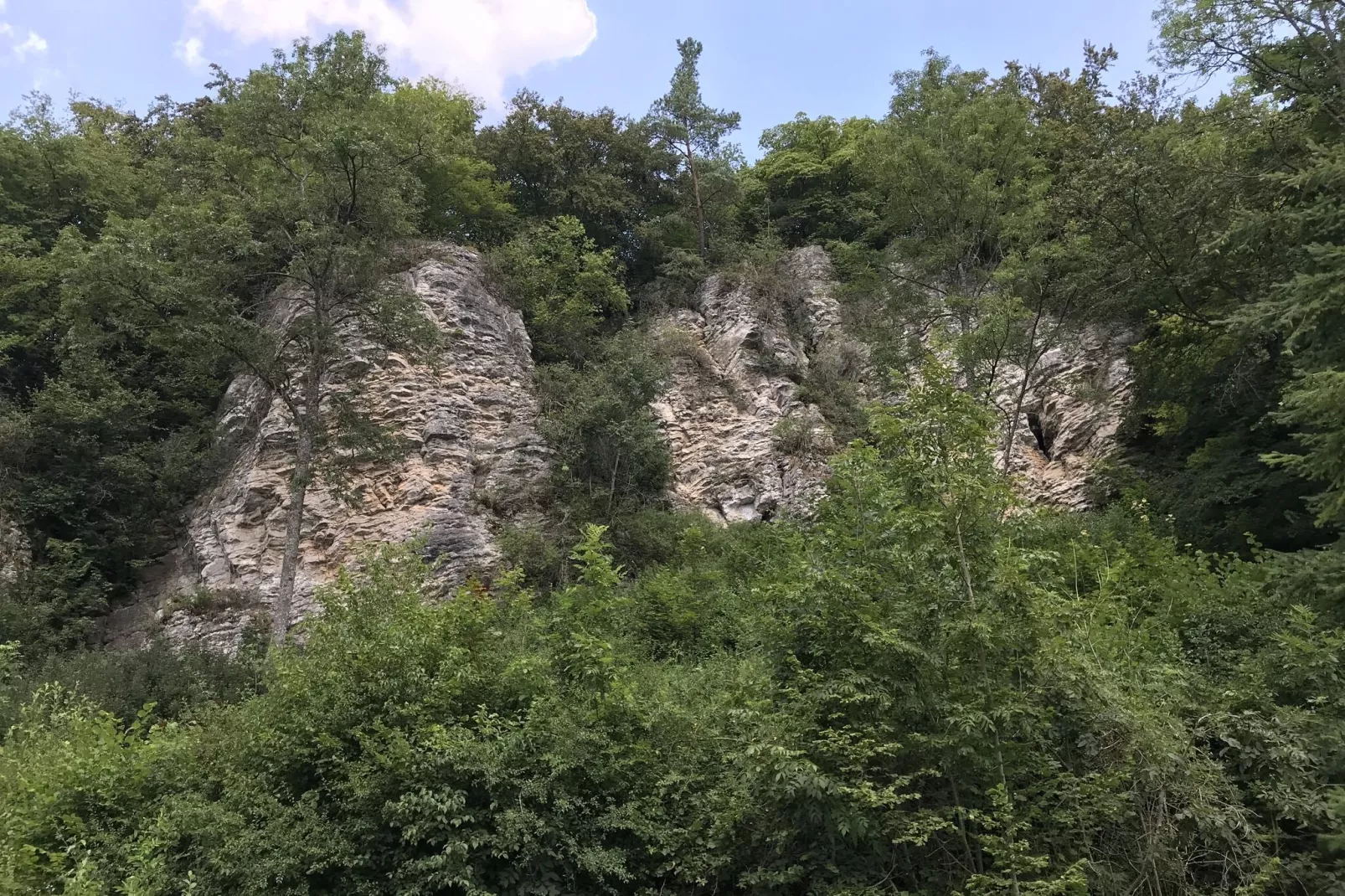 Eifelpark 10-Areas summer 20km