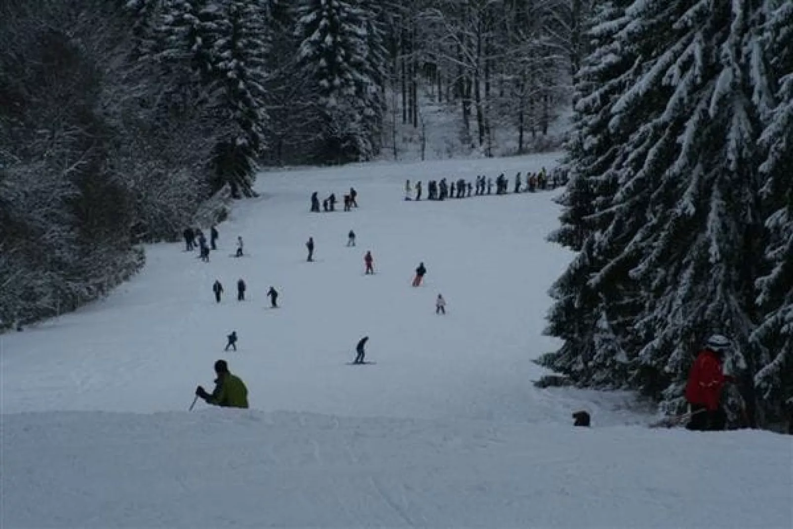 Eifelpark 10-Area winter 20km