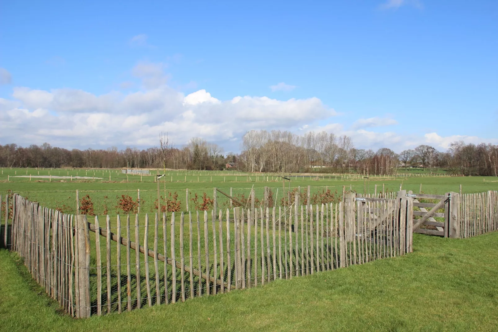 Broville-Jardin d'hiver