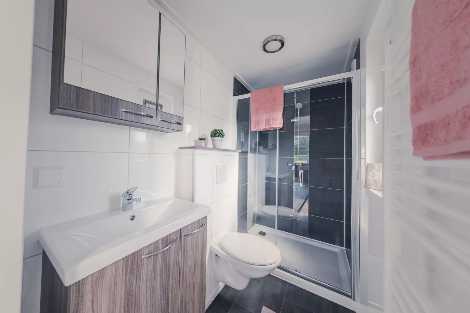 Buitenplaats Holten 7-Bathroom