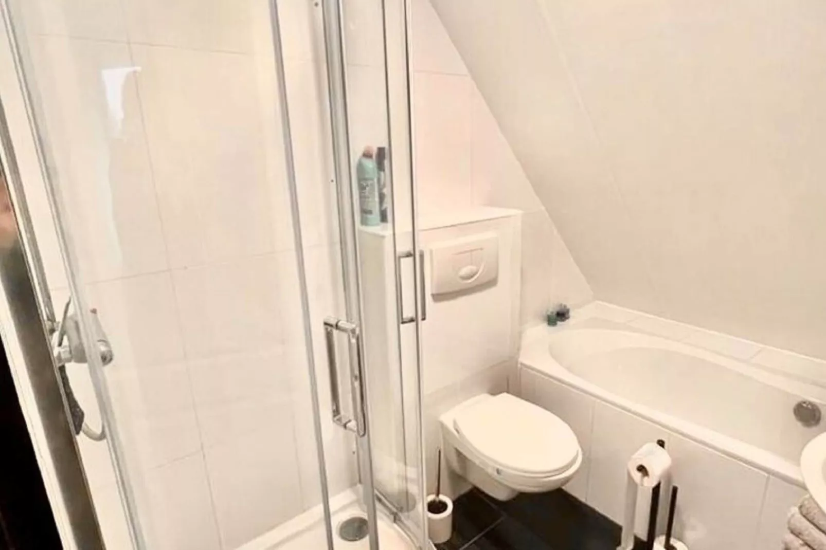 Scharsterlaan 9-Bathroom