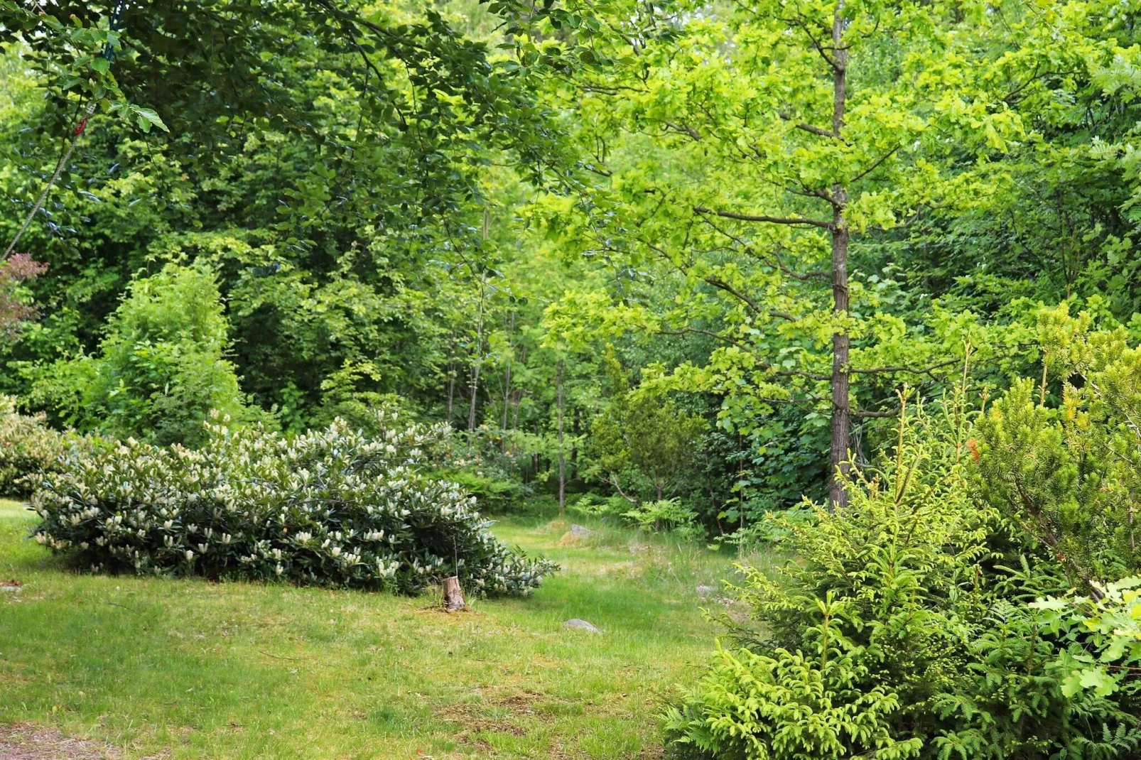 4 person holiday home in Åsljunga-By Traum