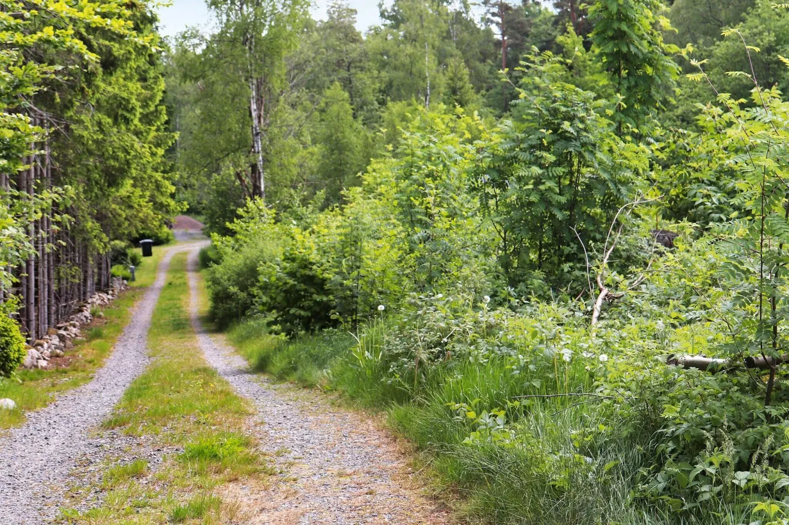 4 person holiday home in Åsljunga-By Traum