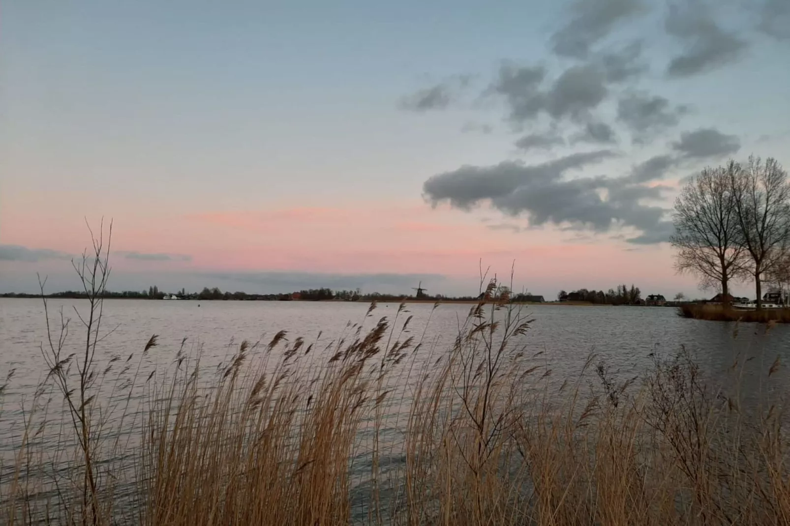 Scharsterlaan 9-Areas summer 5km