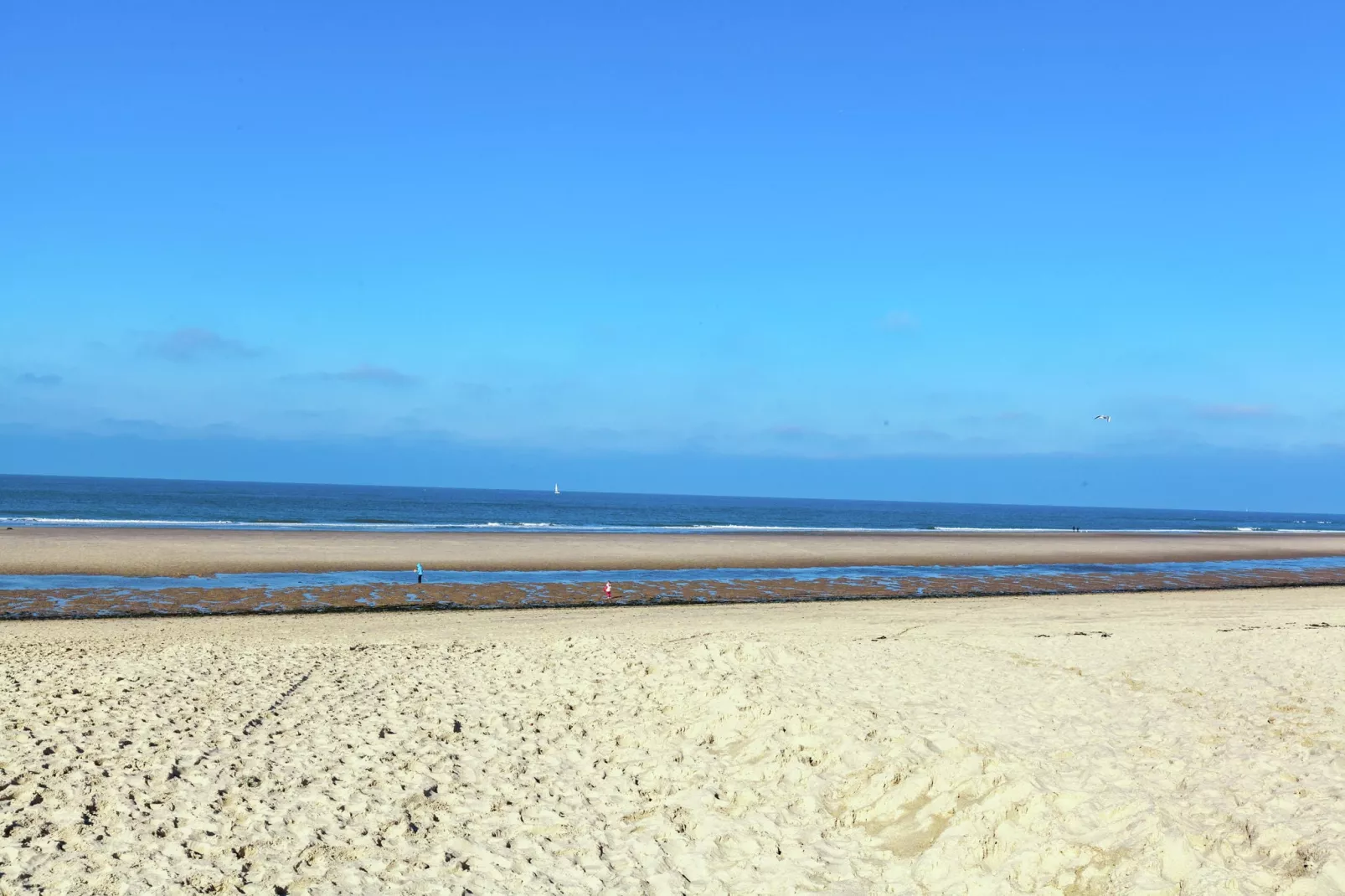 Vier Duinen-Areas summer 1km