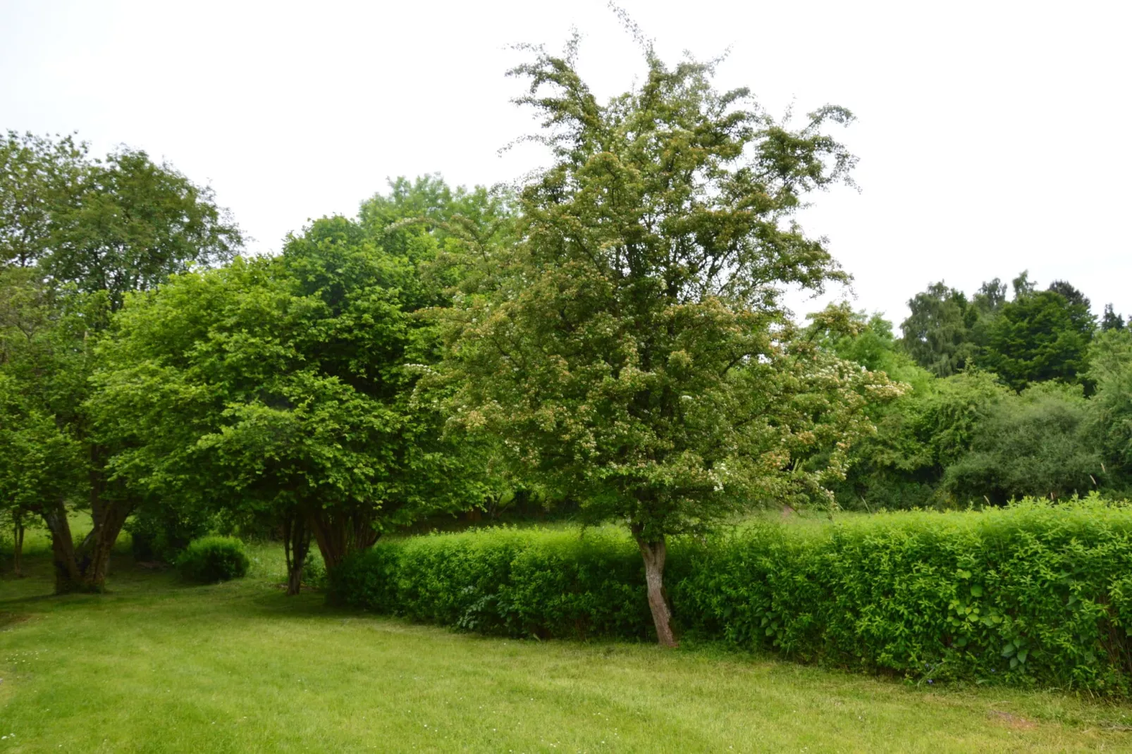 Aux Quatre Saisons-Gardens summer