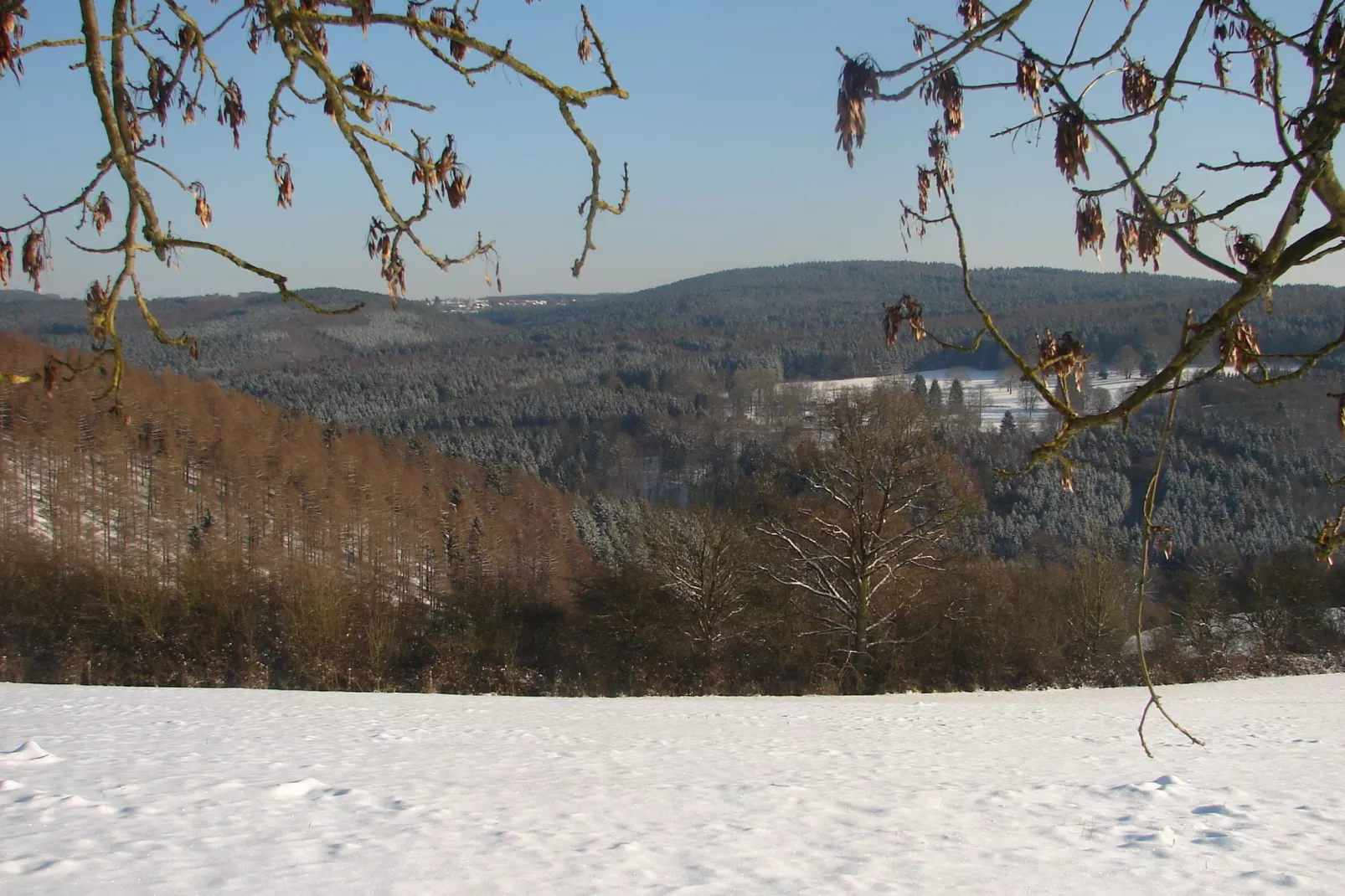 Aux Quatre Saisons-Area winter 1km