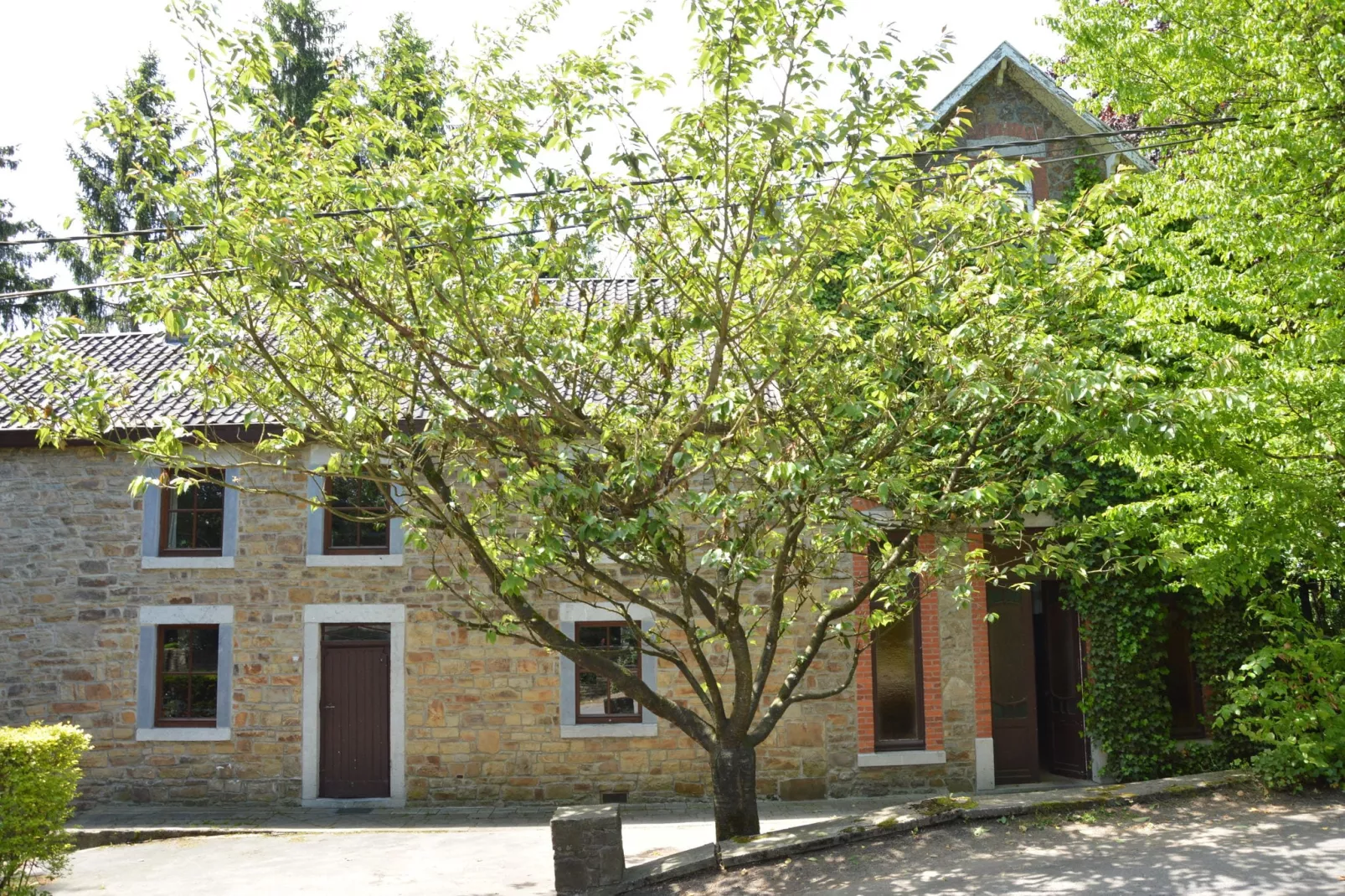 Petit pré-Exterior summer