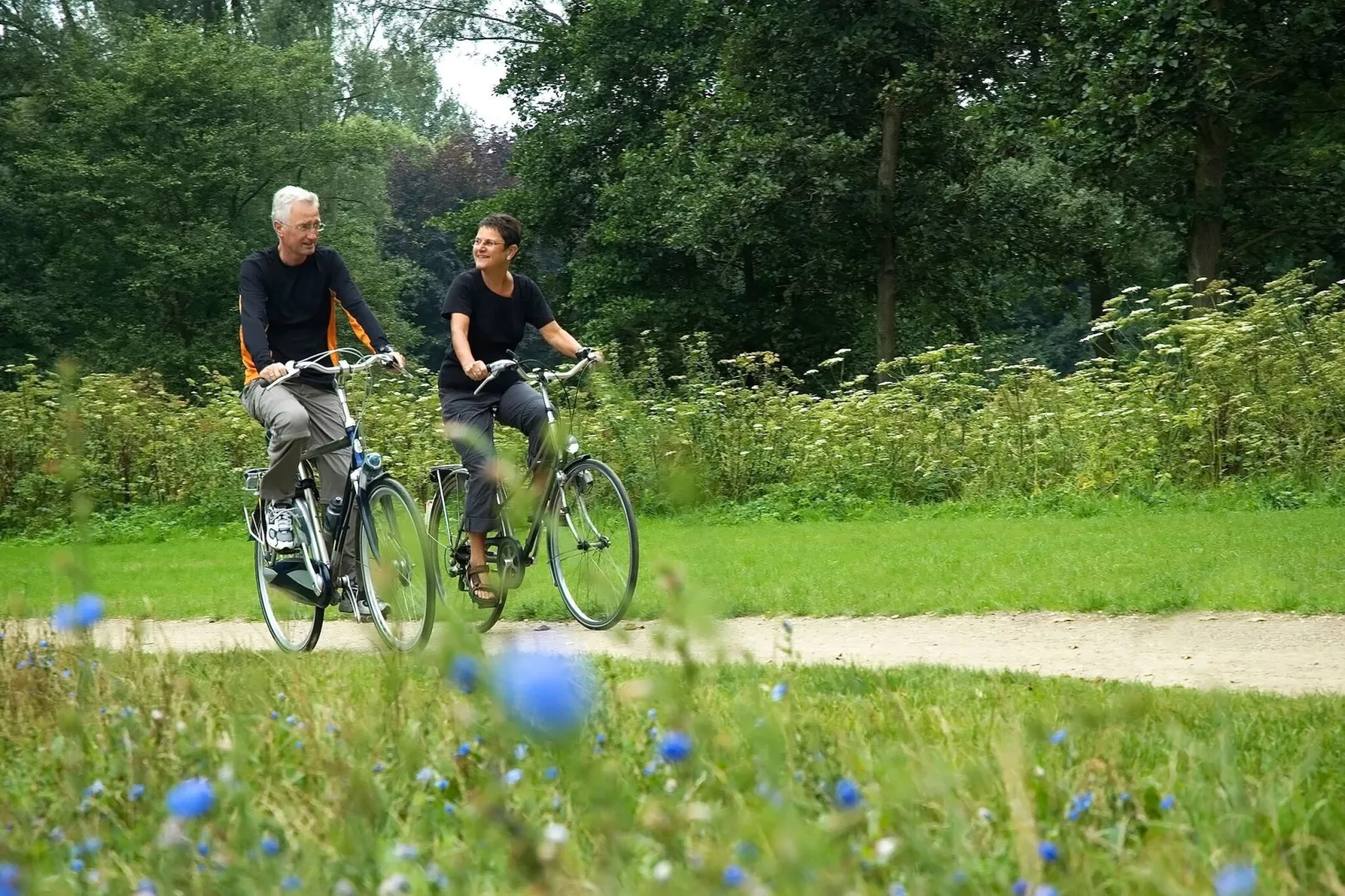 Resort Maasduinen 14-Areas summer 5km