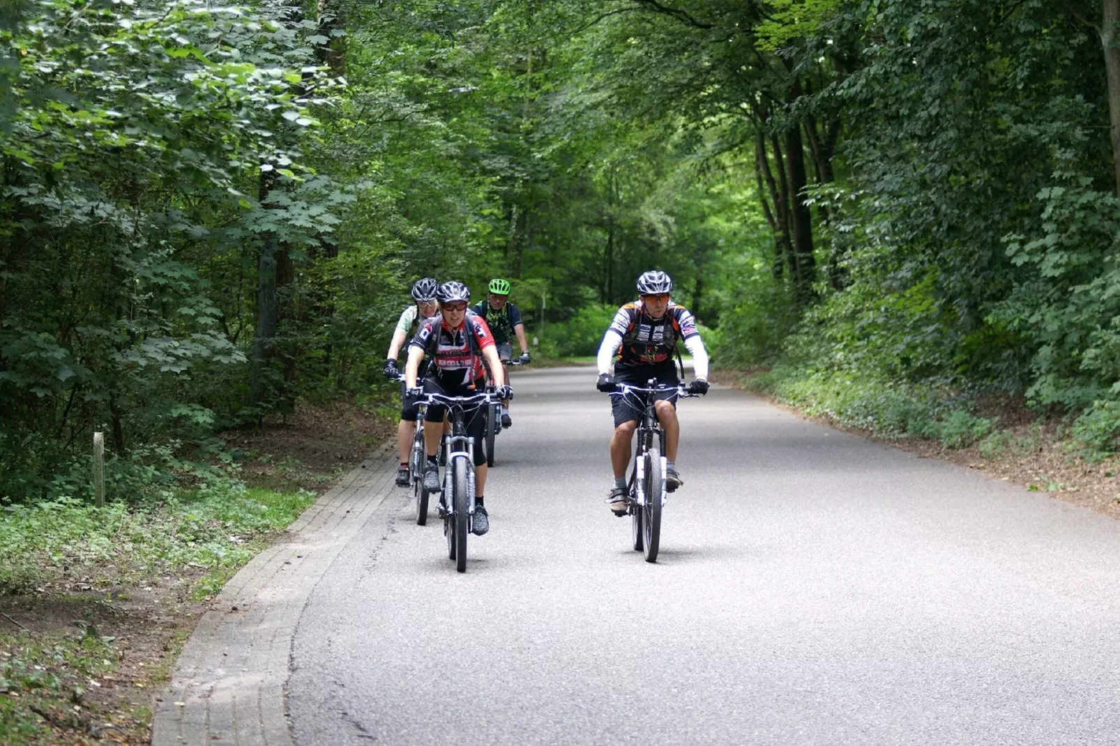 Resort Maasduinen 14-Areas summer 5km