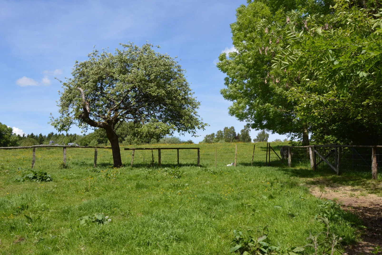 Petit pré-Gardens summer
