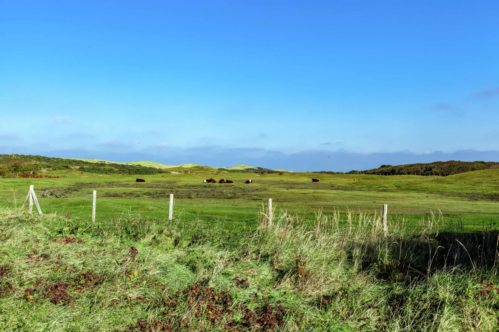 Twee Duinen-Areas summer 1km
