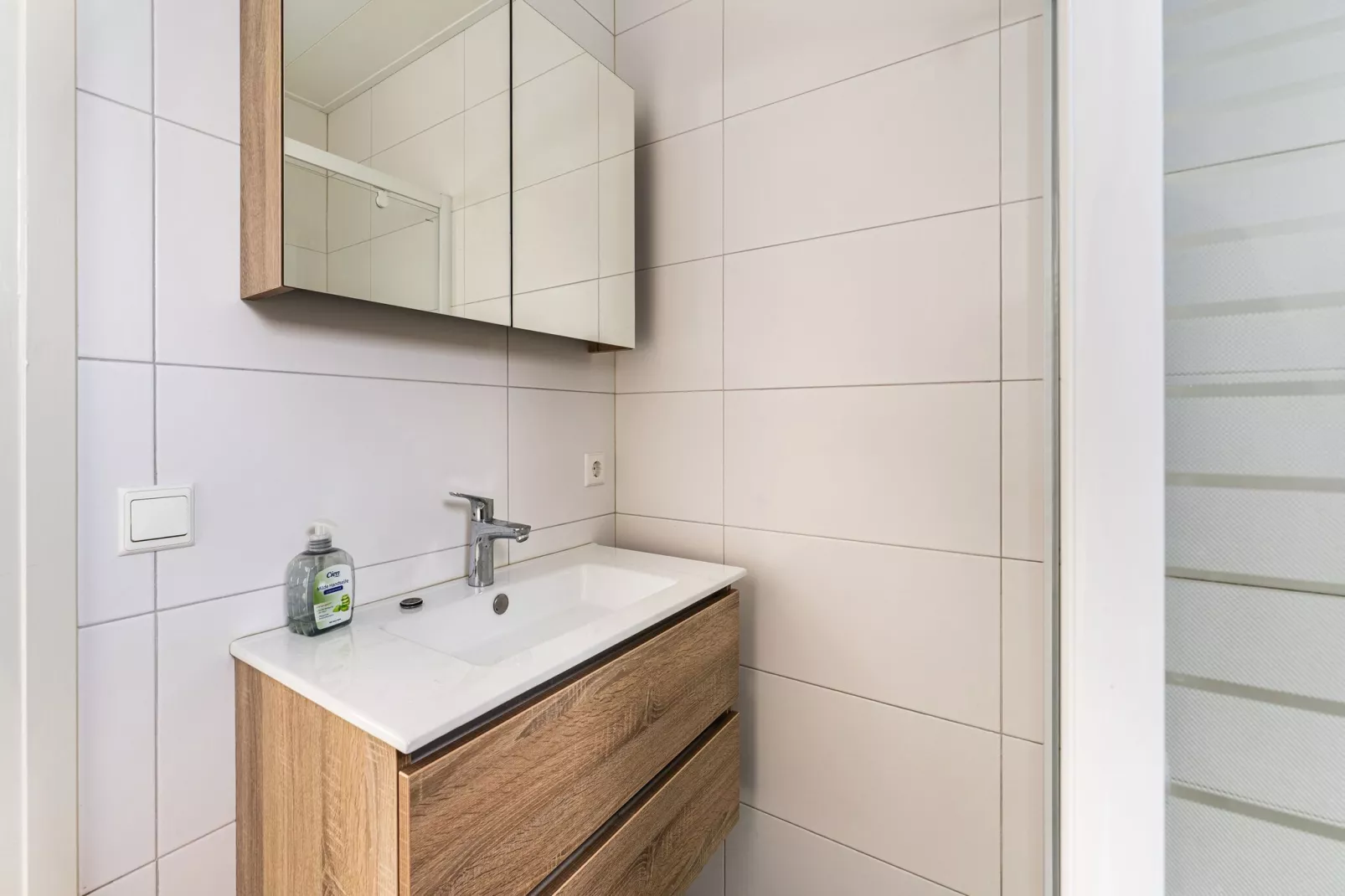 Luxe Chalet 15 in Bantega met sloep 8pax-Bathroom