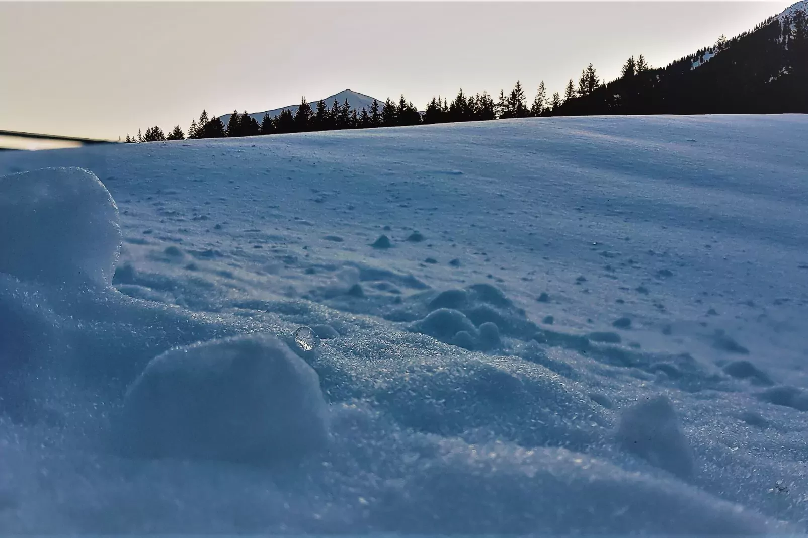 Chalet Bärenschanze-Area winter 5km