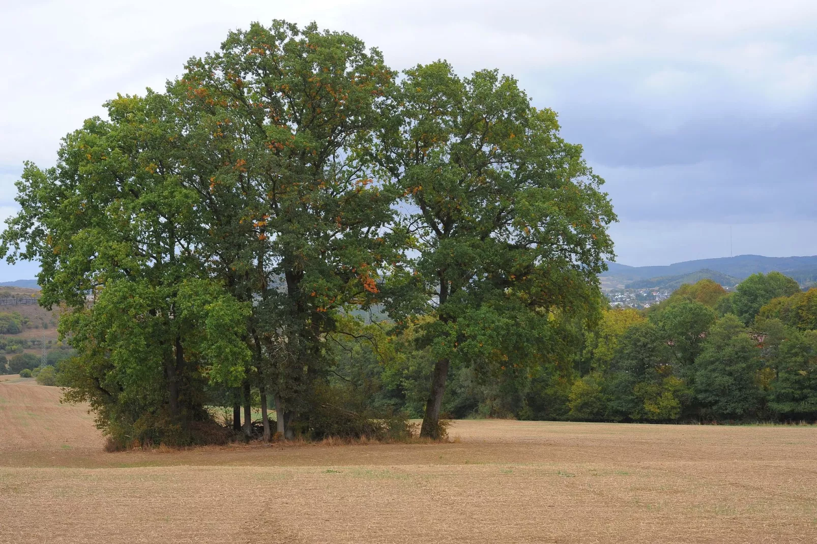 Waldferienpark Gerolstein 2-Areas summer 20km