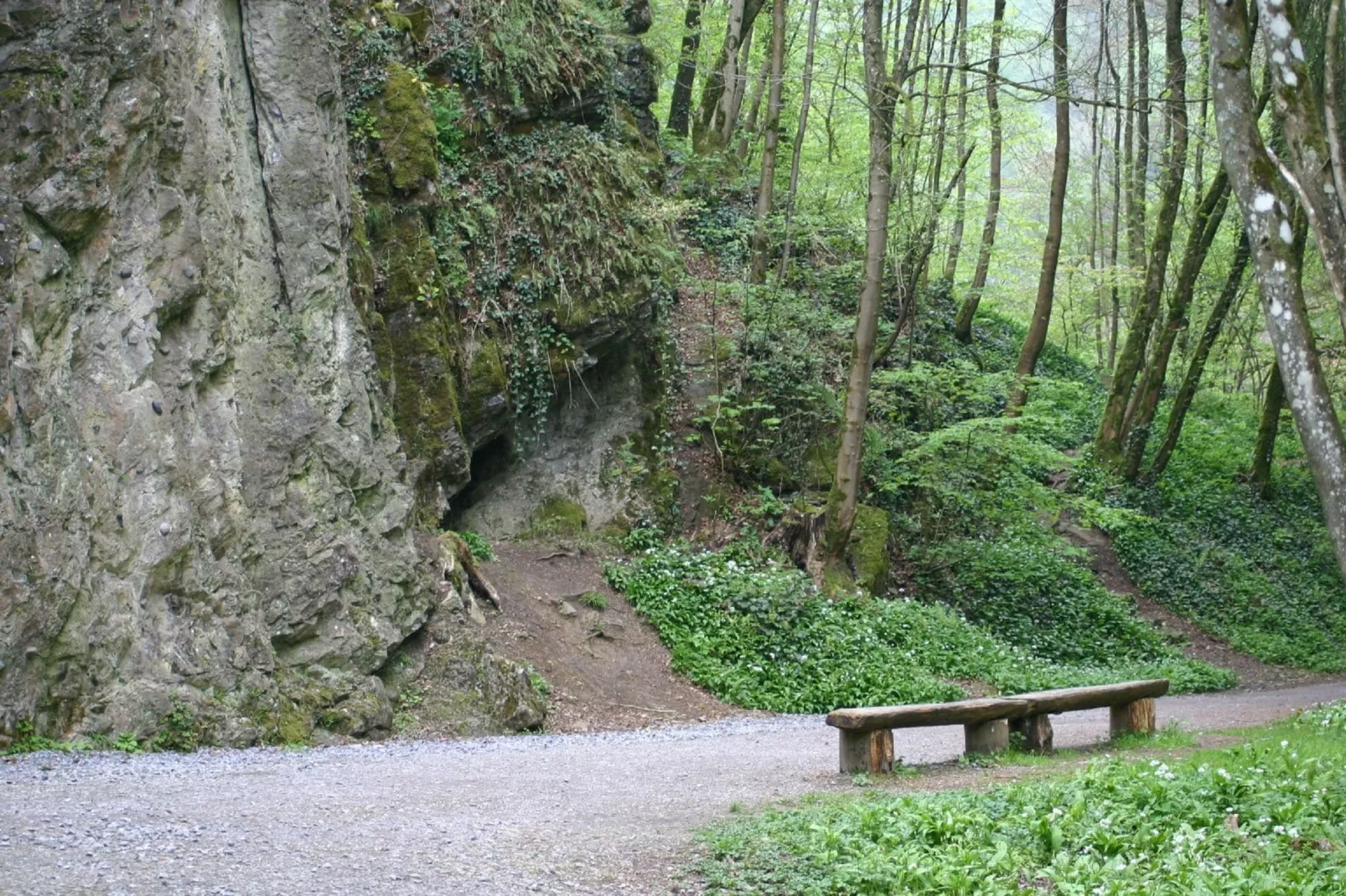 Le Chalet Chaleureux A-Areas summer 1km