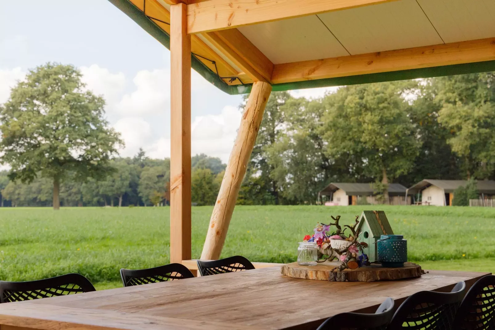 Landrijk de Reesprong 2-Terrace balcony