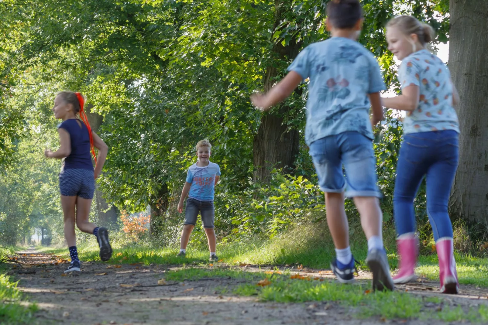 Landrijk de Reesprong 2-Areas summer 1km