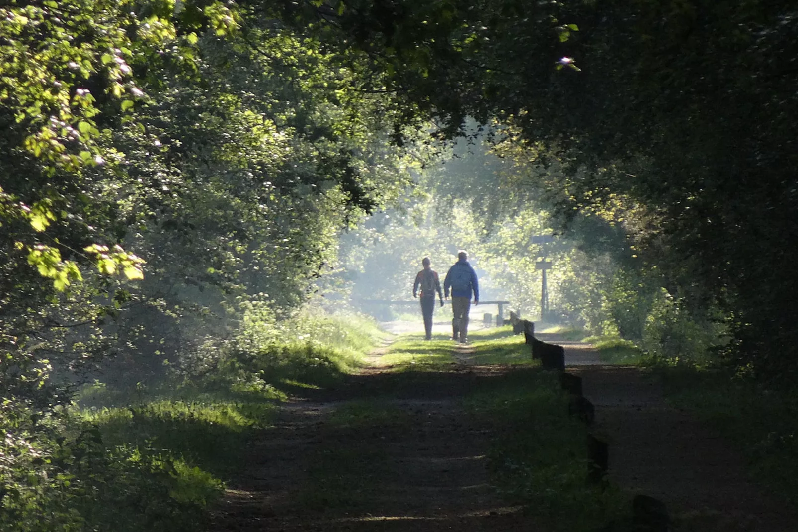 Landrijk de Reesprong 2-Areas summer 20km