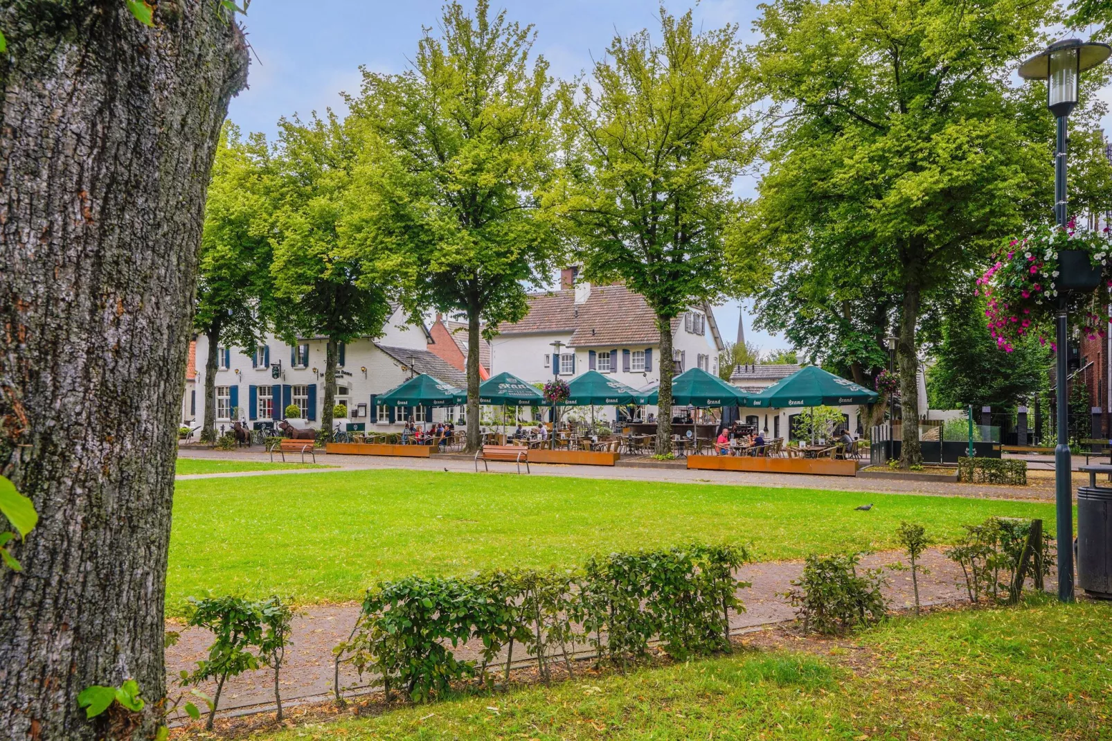 In de Witte Dame - 31A-View summer