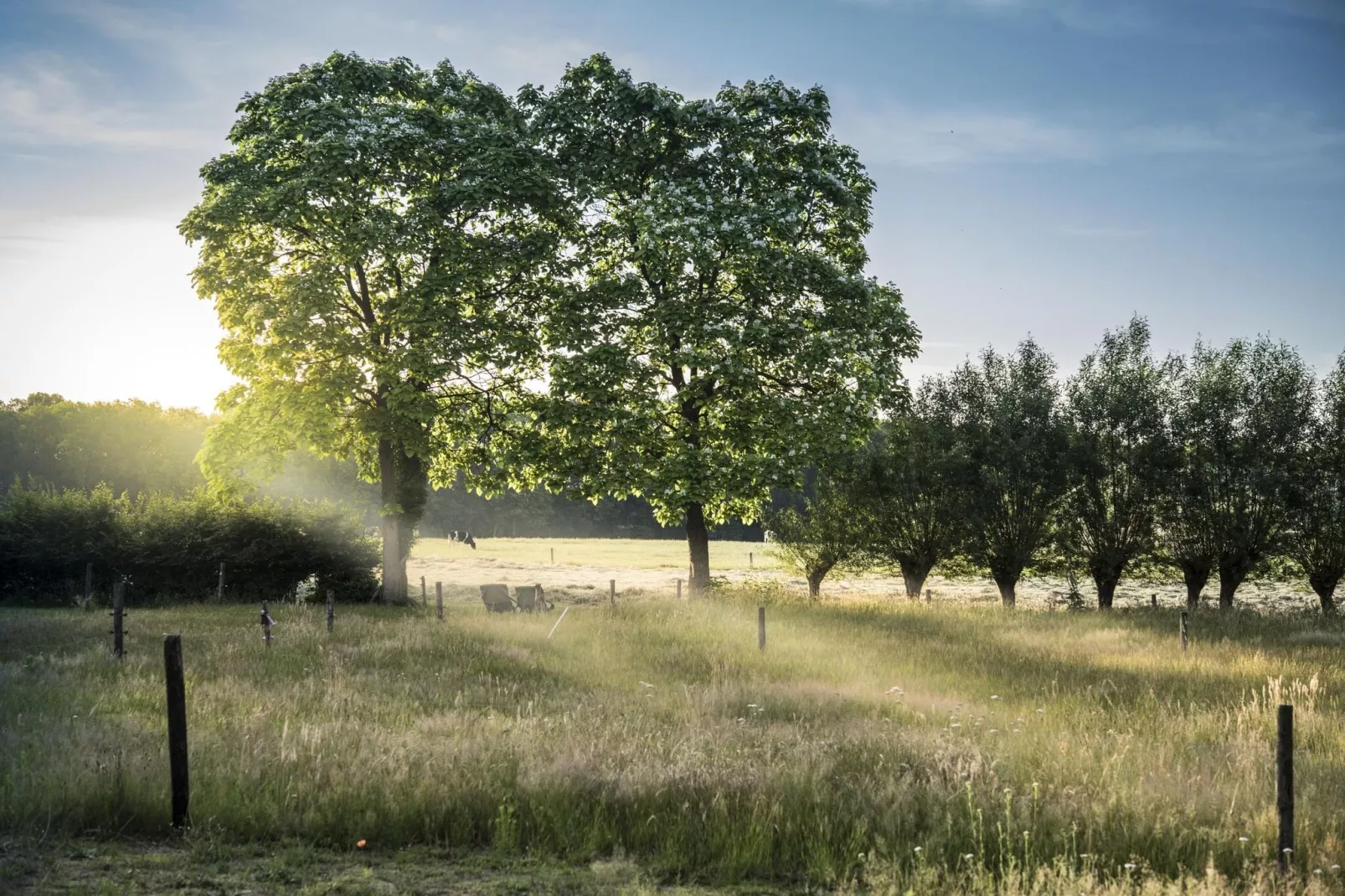 Design Farmers Barn Twente met Hottub-Areas summer 1km