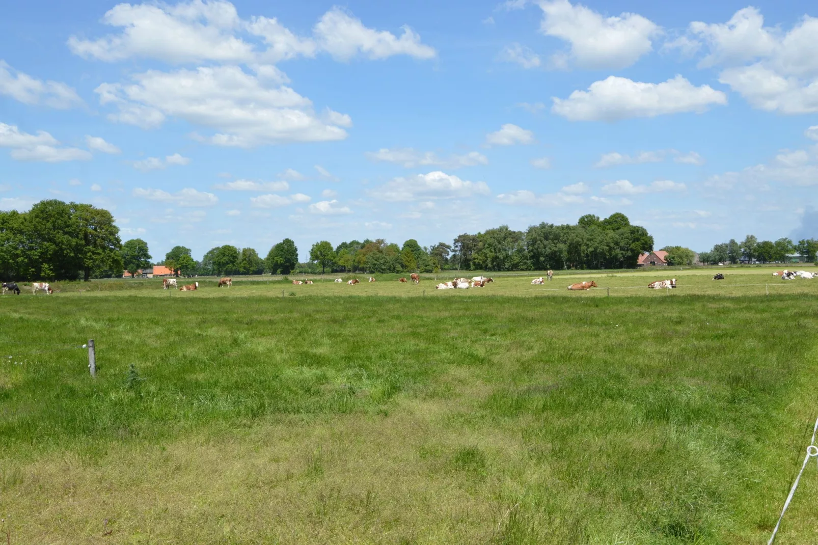 De Eik-View summer