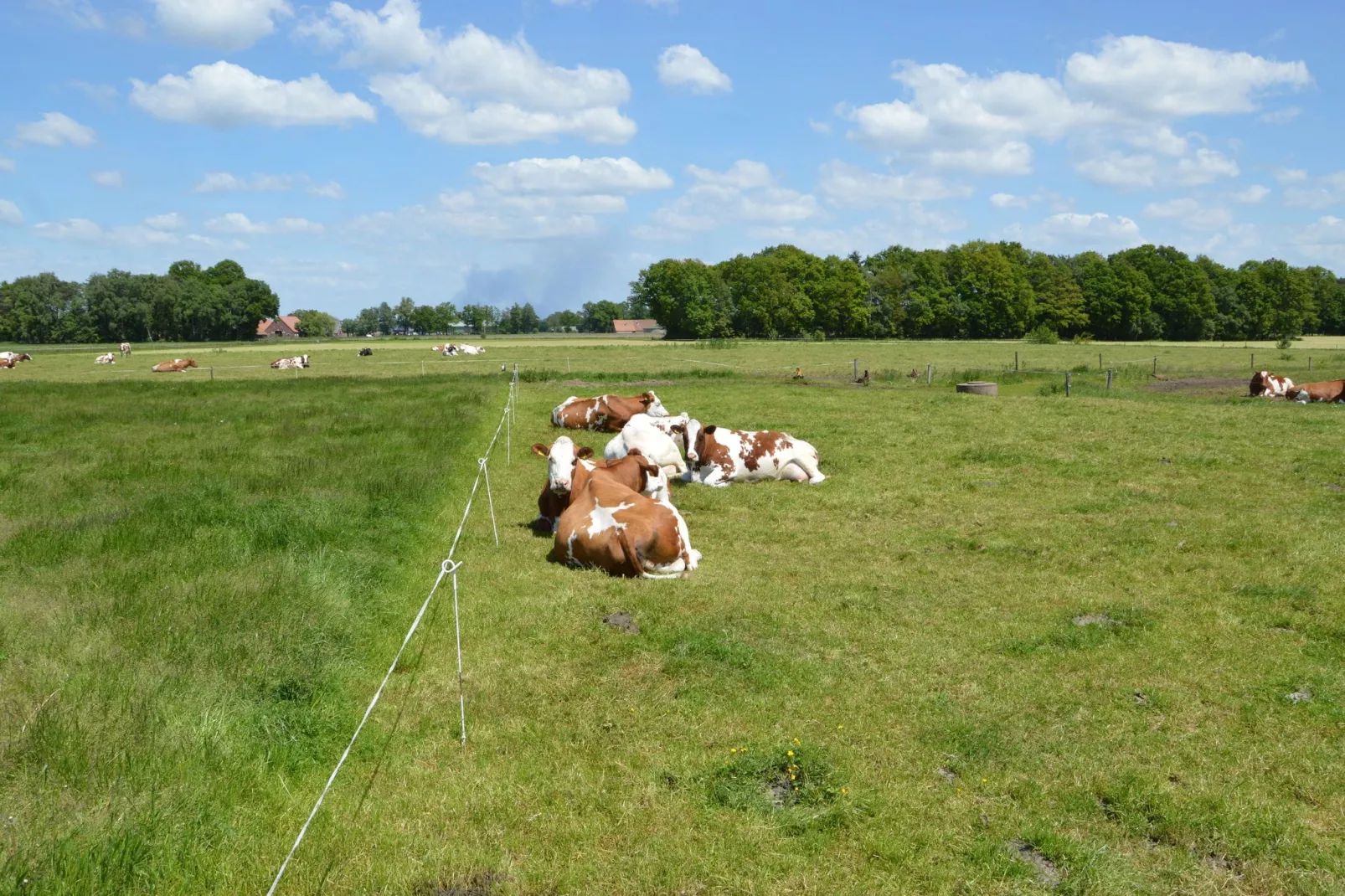 De Eik-View summer