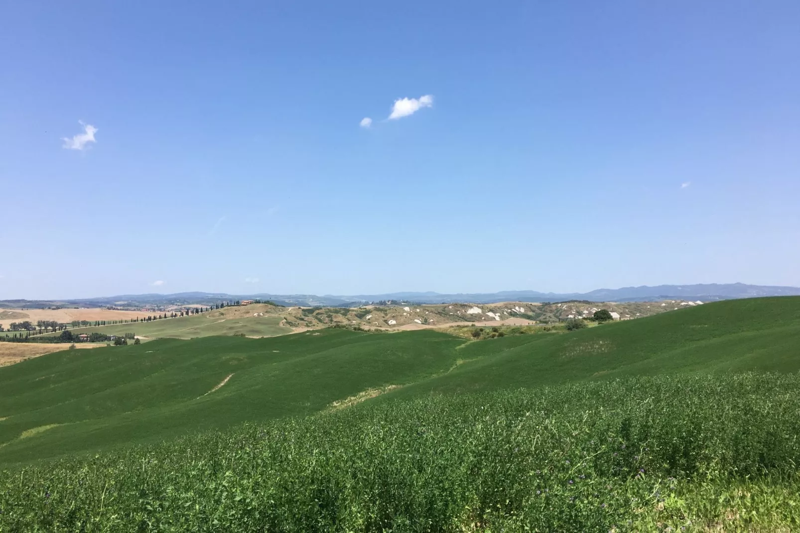 Angel-View summer