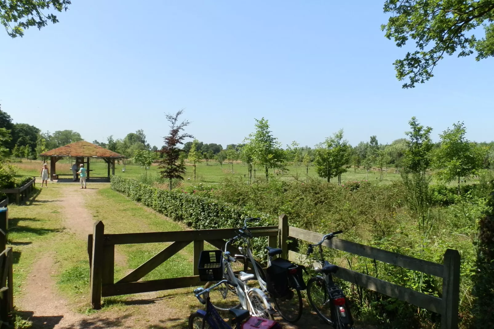 De Eik-Areas summer 5km